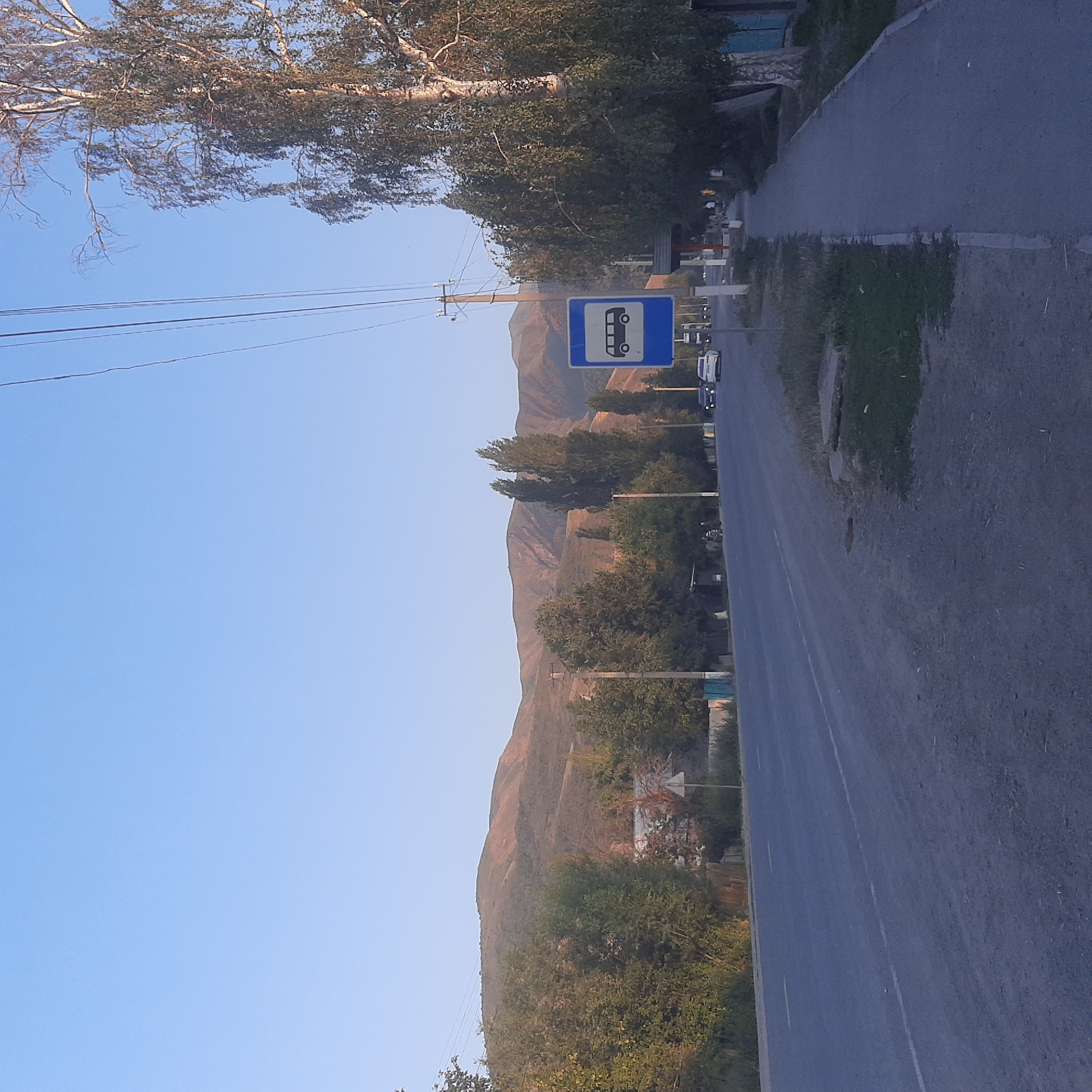The image depicts a roadside scene in Sosnovka, Kyrgyzstan, under a clear blue sky. A paved road runs horizontally across the frame, with a sidewalk to the right and grassy verges. In the foreground, a bus stop sign, featuring a blue square with a white bus icon, is prominently displayed on the sidewalk. Beyond the sidewalk, trees line the street, with one large birch tree on the right. In the background, a series of rolling hills with sparse vegetation are visible. Several vehicles are present on the road, including a white car and a darker car. A few indistinct figures are seen near the bus stop shelter. Utility poles and wires are also visible along the roadside, indicating infrastructure. The overall impression is a semi-rural or suburban setting with everyday street activity.