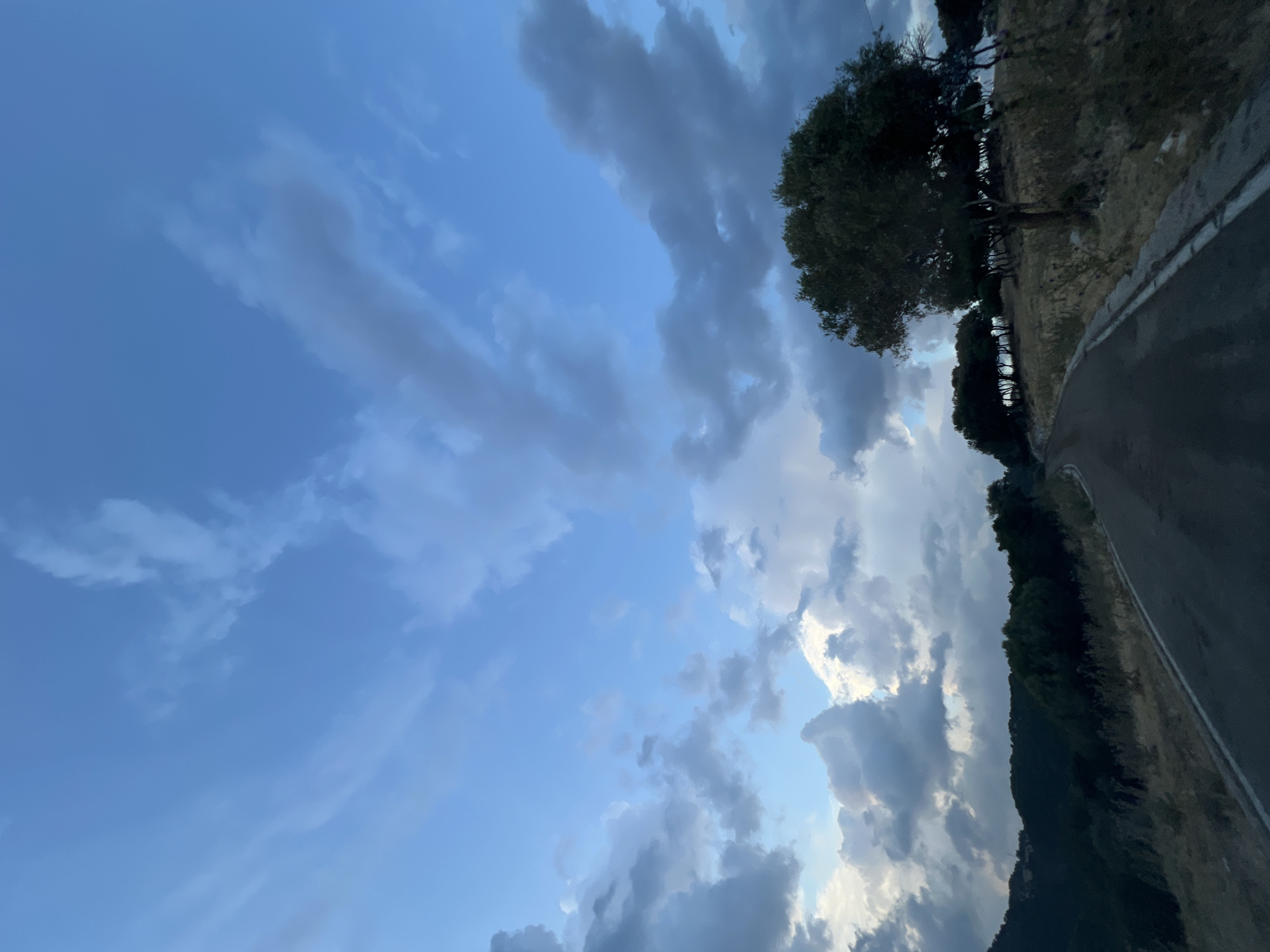 The image depicts a winding asphalt road in a rural, hilly area. The road is dark and appears wet, suggesting recent rain or dew. On the right side of the road, dry, sparse vegetation and a few trees are visible, with one larger, prominent tree in the foreground. To the left, the landscape consists of dark, shadowy hills covered with dense vegetation. The sky above is dramatic, filled with a mix of bright blue patches and heavy, dark clouds, creating a moody and overcast atmosphere. The overall impression is of a natural landscape, possibly in the late afternoon or early evening, with signs of recent weather activity. There are no people or animals visible in the scene. The location is not identifiable as Mattinata, Italy based on visual cues alone.