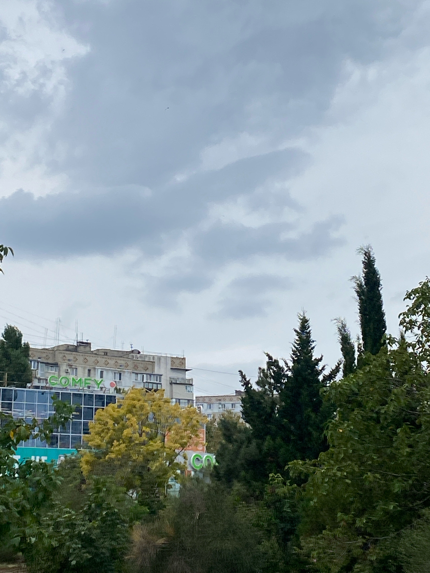 The image shows a cloudy sky above a multi-story building with a "COМFY" sign in green lettering, suggesting a commercial area in the city of Chornomorsk, Ukraine. The building appears to be a department store or shopping center. In front of the building are trees, some with yellowing leaves, indicating it may be autumn. Tall, dark green coniferous trees are also visible to the right of the building, partially obscuring it. The overall scene depicts an urban environment with mixed architecture and vegetation under an overcast sky.