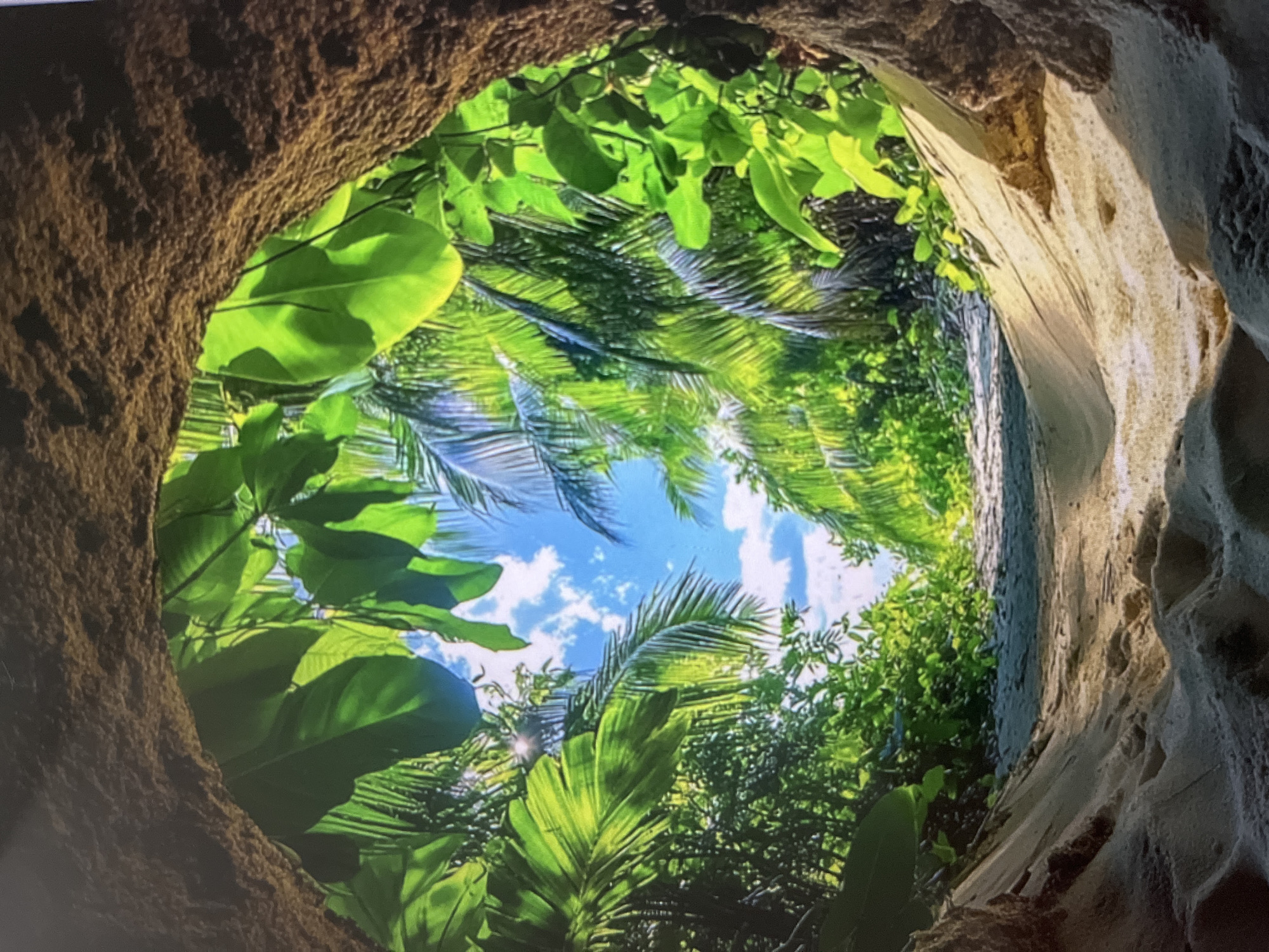The image depicts a view looking out from a sandy tunnel or opening towards a lush, tropical landscape. The tunnel walls are rough and textured, appearing to be made of earth or rock. Sunlight filters through the dense green foliage of palm trees and other tropical plants, creating dappled light and shadow. Beyond the opening, a sandy path leads into the vibrant greenery, with a bright blue sky dotted with white clouds visible above. The scene evokes a sense of discovery and entry into a hidden paradise.