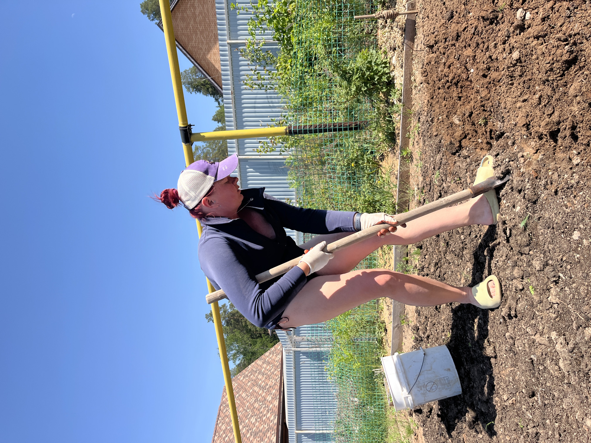 A woman is shown in an outdoor garden setting. She wears a navy-blue long-sleeved shirt, gloves, a purple and white cap, and light-colored footwear. She holds a gardening tool in her hands and appears to be working the soil in a raised garden bed. A white bucket rests on the ground nearby. A metal fence and various greenery surround the garden area. In the background, a house is visible with a roof of brown shingles. The sky above is clear and blue.
The image was taken in the city of Chaikovsky, Russia.