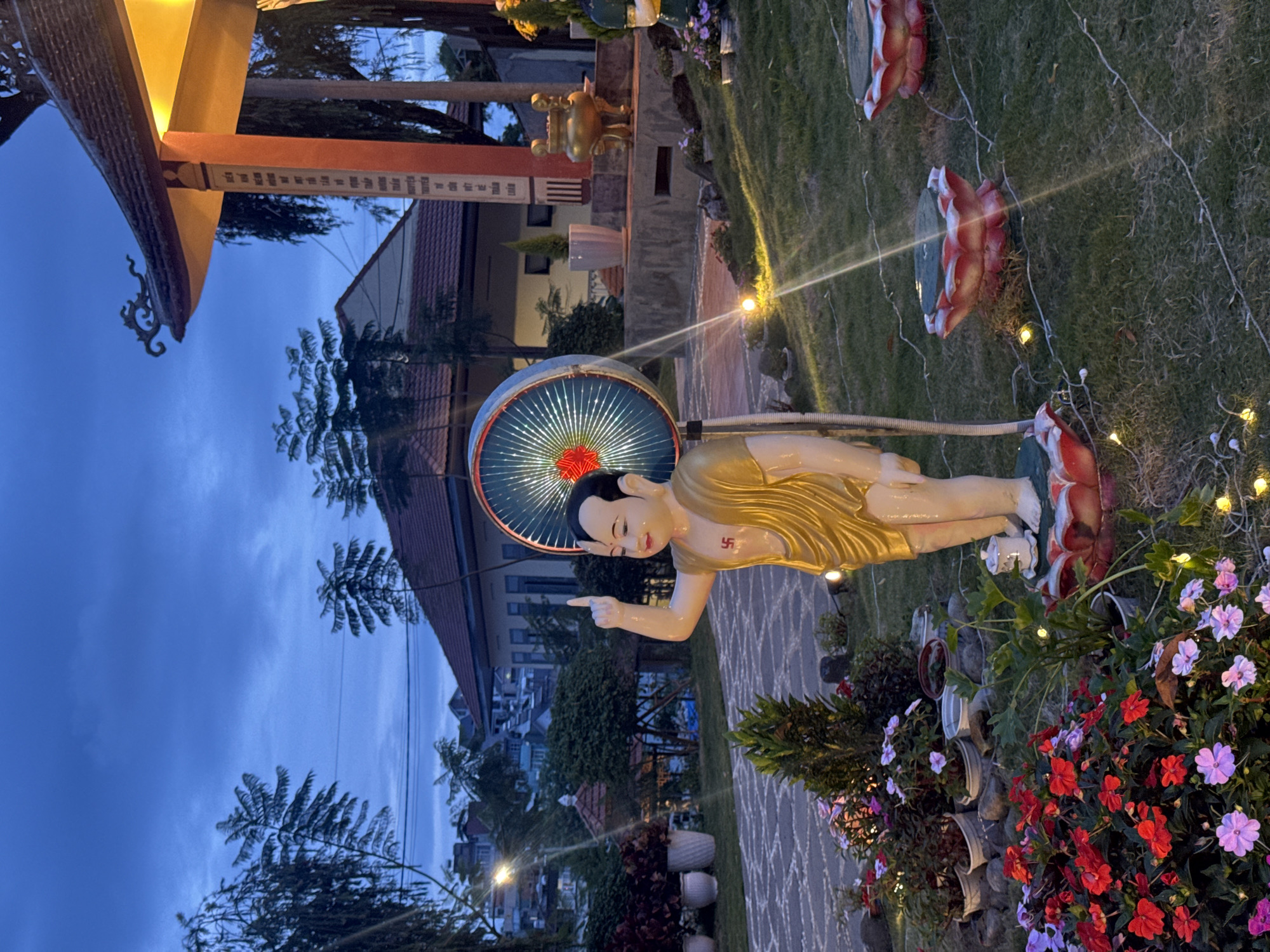 A nighttime outdoor shot in Da Lat, Vietnam, depicts a gold-colored statue of Buddha positioned next to a paved walkway and illuminated flowerbeds. The statue has a halo-like circle behind its head and a red symbol on its chest. In the background, there are buildings and trees, with the sky appearing in the distance. Several lotus-shaped decorations are visible on the grass. The statue appears to be pointing its right hand forward. White decorative lights are strung across the lawn.