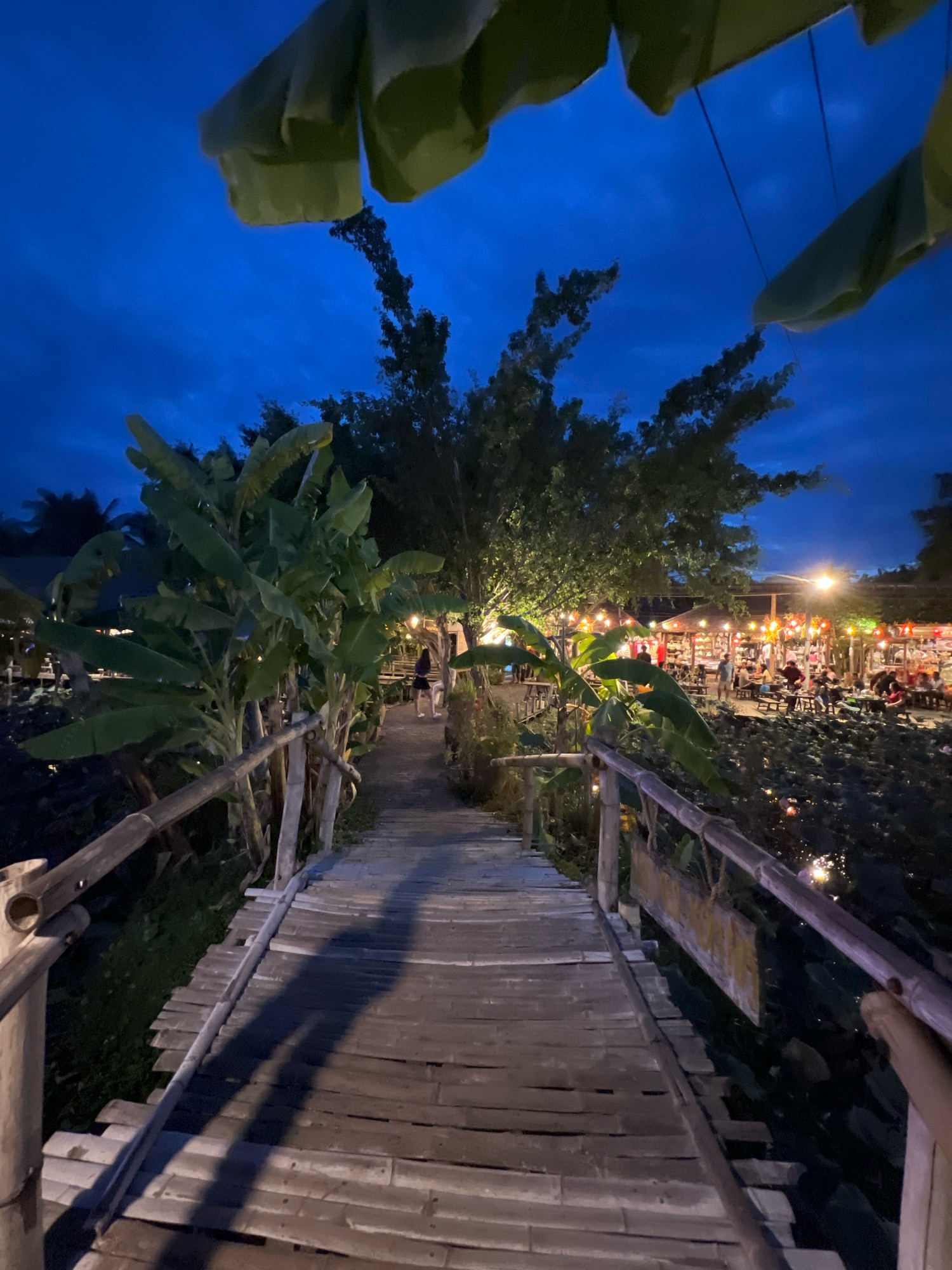 The image depicts a wooden boardwalk at dusk, leading towards a bustling outdoor restaurant area illuminated by numerous colorful string lights. The boardwalk is constructed from rough-hewn bamboo or wood planks and is bordered by a simple bamboo railing. On the left side of the boardwalk, large banana leaves hang overhead, creating a natural canopy.
Beyond the boardwalk, the restaurant appears to be situated near a body of water, possibly a pond or lake, with lily pads visible. Numerous tables and chairs are set up, occupied by patrons who are dining and socializing. People are visible walking around and interacting. The sky is a deep blue, characteristic of twilight.
Based on the presence of banana leaves, the rustic bamboo structures, the tropical ambiance, and the vibrant night market-style lighting, this scene strongly suggests a location within or on the outskirts of the city of Nha Trang, Vietnam, known for its beachfront restaurants and more casual, outdoor dining experiences. One specific location that fits this description is the "Nha Trang Crab House" or a similar establishment located along the coast or in a natural setting that offers this type of dining experience.