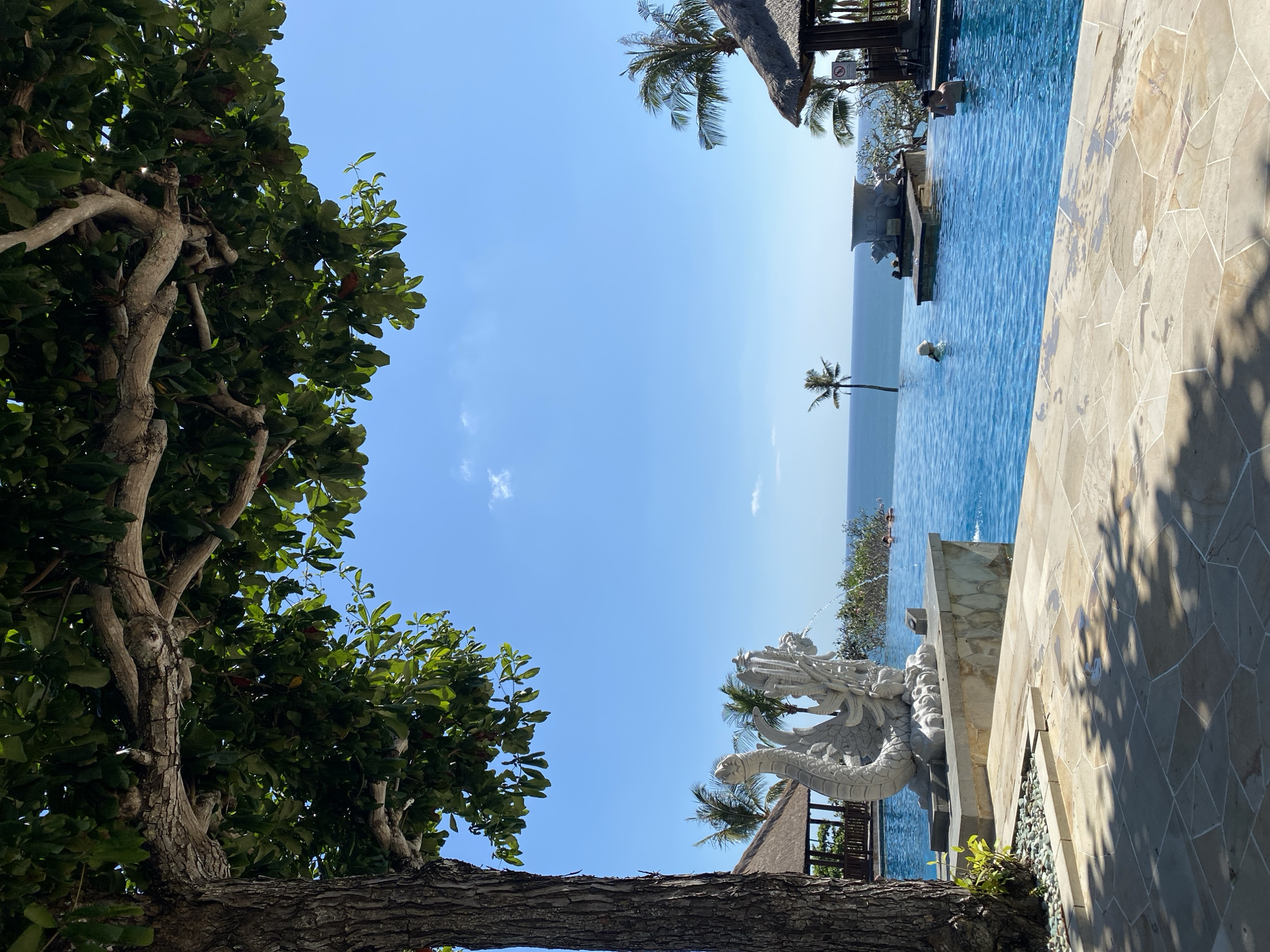 The image depicts a sunny day at an infinity swimming pool overlooking the ocean, likely in Kuta Selatan, Indonesia, given the style of architecture and vegetation. A large tree with green foliage frames the top left of the scene. In the foreground, a stone-paved area leads to the edge of the pool. Adjacent to the pool's edge, a white stone sculpture of a mythical creature, possibly a dragon or serpent, spouts water. Several thatched-roof cabanas are visible on the right side of the pool, with palm trees scattered throughout the landscape. Two people are seen swimming in the bright blue water of the infinity pool. The ocean stretches out to the horizon under a clear blue sky with a few wispy clouds. The overall atmosphere is one of relaxation and tropical vacation.