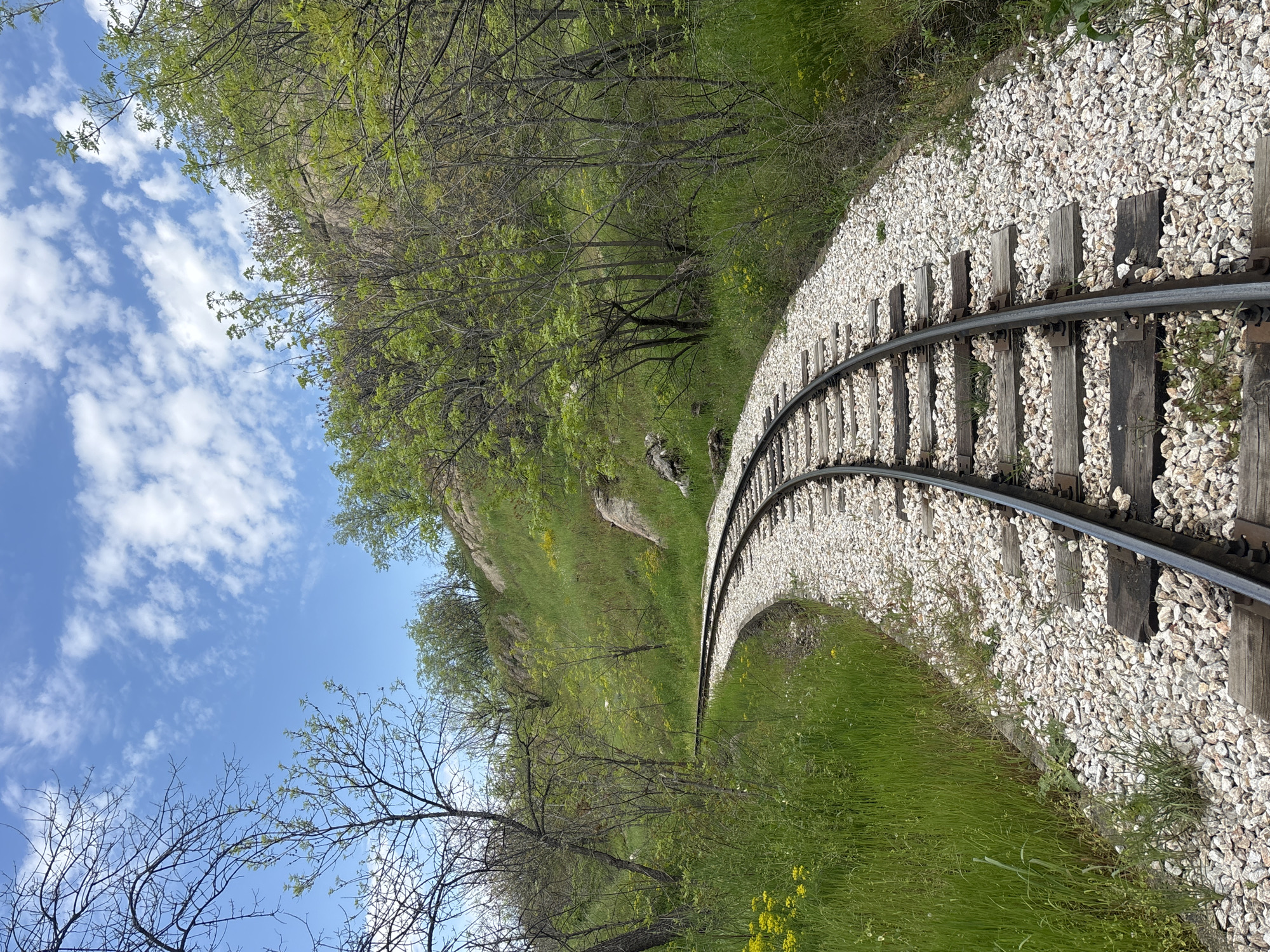 A vibrant outdoor scene features a miniature train track curving through a natural landscape under a bright sky. The tracks, composed of dark metal rails, wooden sleepers, and light-colored gravel ballast, arc from the lower-left to the upper-right of the frame, disappearing into the distance.
The ground surrounding the railway is covered in lush green grass, interspersed with scattered yellow wildflowers, suggesting a spring or early summer setting. Various trees populate the environment; some are adorned with fresh, bright green leaves, while others, particularly on the left, have bare branches, possibly indicating early stages of budding or different tree species. In the midground and background, gentle hills or rocky outcrops are visible, also covered in vegetation.
The sky above is a clear, brilliant blue, dotted with wispy white clouds, indicating fair weather. The scene is brightly lit by natural daylight, suggesting it is either morning or afternoon. No people or trains are visible, but the presence of the tracks implies a recreational railway, possibly for children or tourists. This picturesque setting, given the context, is located in Plovdiv, Bulgaria, likely depicting a section of its Children's Railway. There is no discernible text within the image.