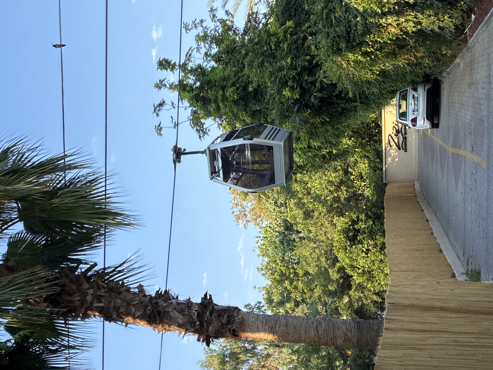 The image shows a cable car cabin suspended on a wire against a clear blue sky with sparse clouds. To the left, a tall palm tree trunk dominates the foreground, with its fronds reaching upwards. To the right, dense green foliage forms a wall of vegetation, with a white car parked on a paved driveway that curves into the scene. A sign for "Zizi Brunch & Restaurant" is visible on a beige wall behind the car. The driveway is bordered by a light brown, woven fence on the left and the dense greenery on the right. A bird is perched on one of the overhead wires. The overall scene suggests a warm, sunny day in an outdoor resort or restaurant area. The presence of a palm tree, lush vegetation, and a cable car strongly indicates a location in Alanya, Turkey, a popular tourist destination known for its coastal scenery and cable car transportation.