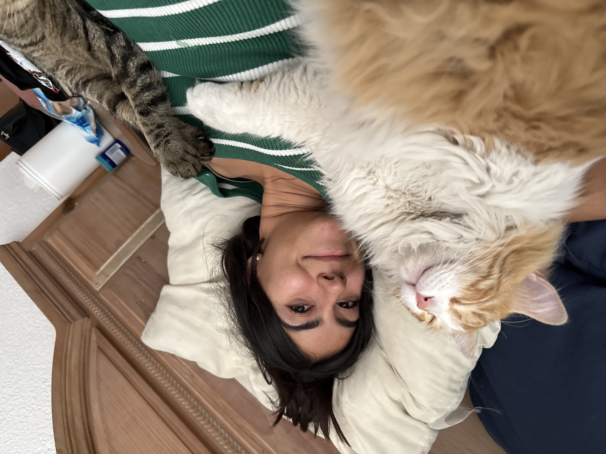 A woman lies on her back on a bed, with a cream-colored pillow under her head. She has dark hair, brown eyes, and fair skin. She is wearing a green and white striped shirt. On her chest lies a large, fluffy orange and white cat. The cat's eyes are closed and it appears to be sleeping. To the woman's left, a tabby cat extends its paw onto her shoulder. The bed is made of wood and the room appears to be located in Puebla, Mexico. Various items like a white container and clothing are visible near the bed.
