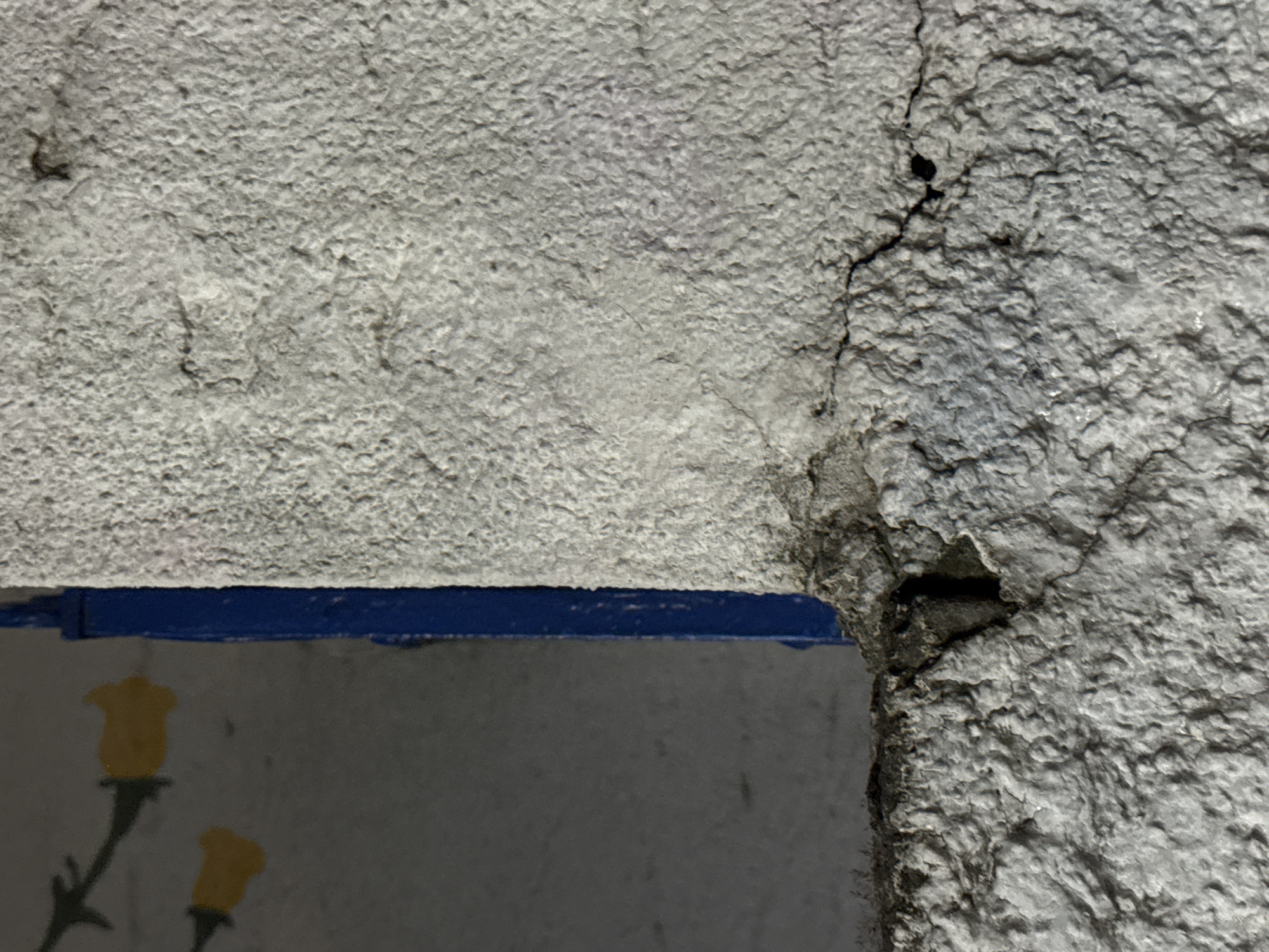 The image shows a close-up view of a rough, textured concrete wall with a blue trim. The wall is cracked and appears weathered. In the background, out of focus, there is a hint of yellow painted shapes that resemble flowers on a gray surface. The scene is dimly lit, and the overall impression is one of decay or disrepair. There are no people or discernible actions taking place in the image. The location in Vracar Urban Municipality, Serbia, is not visually identifiable from the provided image.
