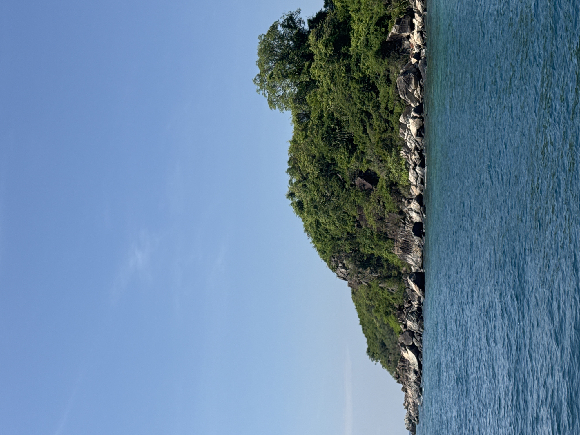 A wide shot of a lush, green, rocky island under a clear blue sky, situated in the waters off the coast of Nha Trang Ward, Vietnam. The island, covered in dense vegetation and dotted with large boulders, slopes gently towards the water. The sea is a deep blue with small ripples on its surface. The scene is tranquil and natural, with no people or man-made structures visible.