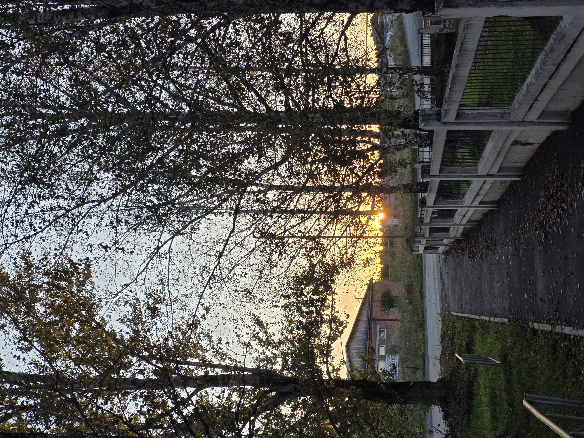 The image depicts a pathway in Magnitka, Russia, leading towards a brick building under a twilight sky. The pathway is paved with asphalt and is lined with fallen leaves. To the right, a concrete fence with metal bars separates the pathway from a grassy area. Several trees, with some of their leaves beginning to change color, are visible throughout the scene, their branches silhouetted against the sky. The setting sun is visible between the trees, casting a warm glow. In the background, a low brick building with a sloped roof is situated behind the trees. The overall atmosphere is calm and serene, indicative of an early evening in autumn.