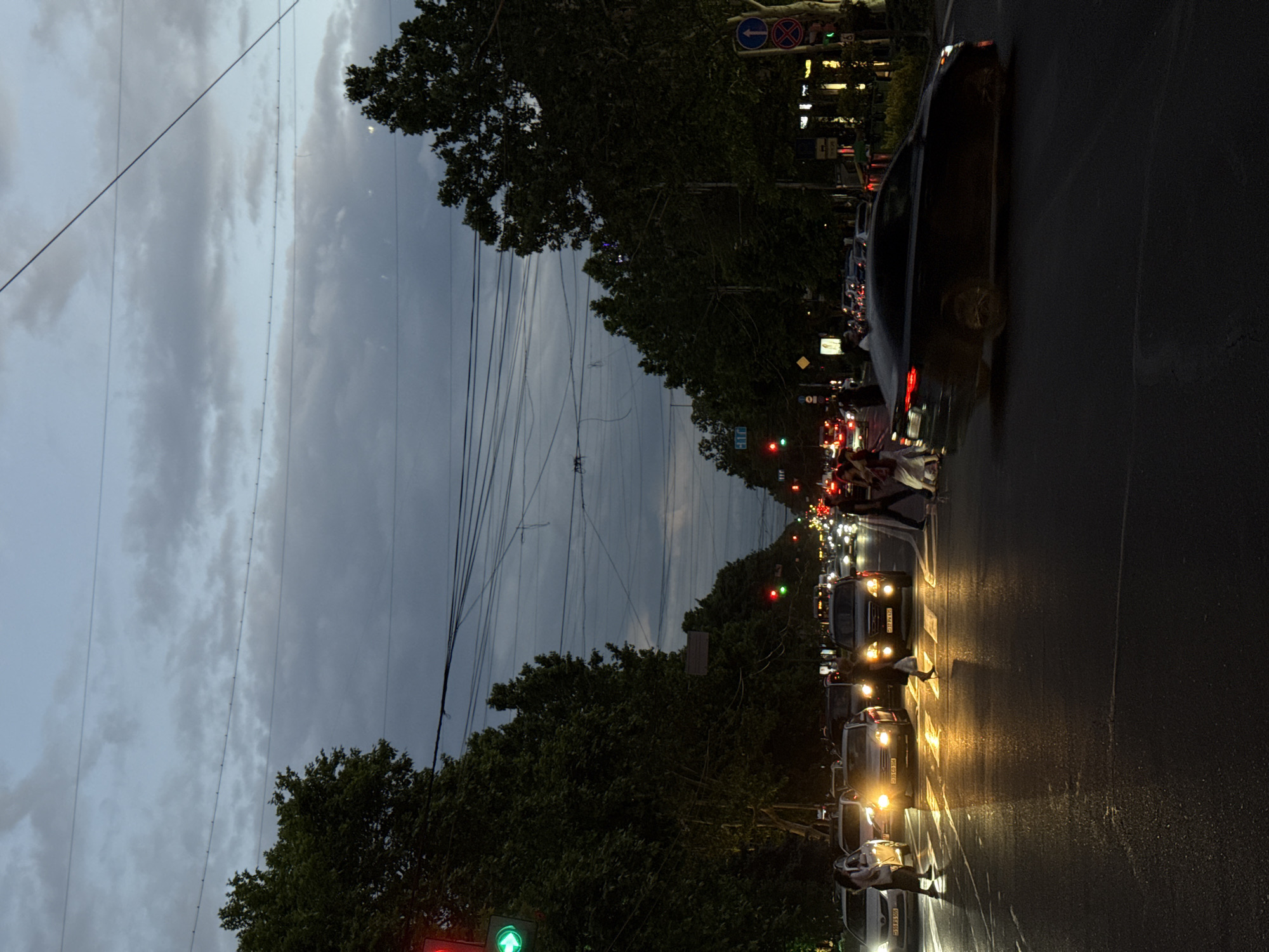 This image captures a busy urban street scene in Yerevan, Armenia, during the evening or night. The sky is dark and overcast with numerous overhead power lines crisscrossing the frame. Lush green trees line both sides of the street, their foliage appearing dark against the dim light.
The road is wet, reflecting the bright headlights and taillights of numerous vehicles, indicating recent rain or a damp environment. Traffic is heavy, with cars appearing to be in a queue or moving slowly. Several pedestrians are visible in the foreground, some actively crossing the street at a marked crosswalk, illuminated by the surrounding vehicle lights.
Artificial light sources dominate the scene, including the glow from cars' headlights and taillights, and distinct red and green traffic lights. On the right side of the road, a blue circular traffic sign with a white left-pointing arrow (likely indicating a mandatory turn or one-way street) and a red circular sign with a diagonal white bar (indicating "no entry" or "forbidden") are visible. In the bottom right corner, a green traffic light is clearly visible.
One car in the foreground has a visible license plate that appears to read "34 DL 323", consistent with Armenian license plate formats, reinforcing the location context. The overall impression is one of a bustling city evening with active traffic and pedestrian movement under a somber sky.