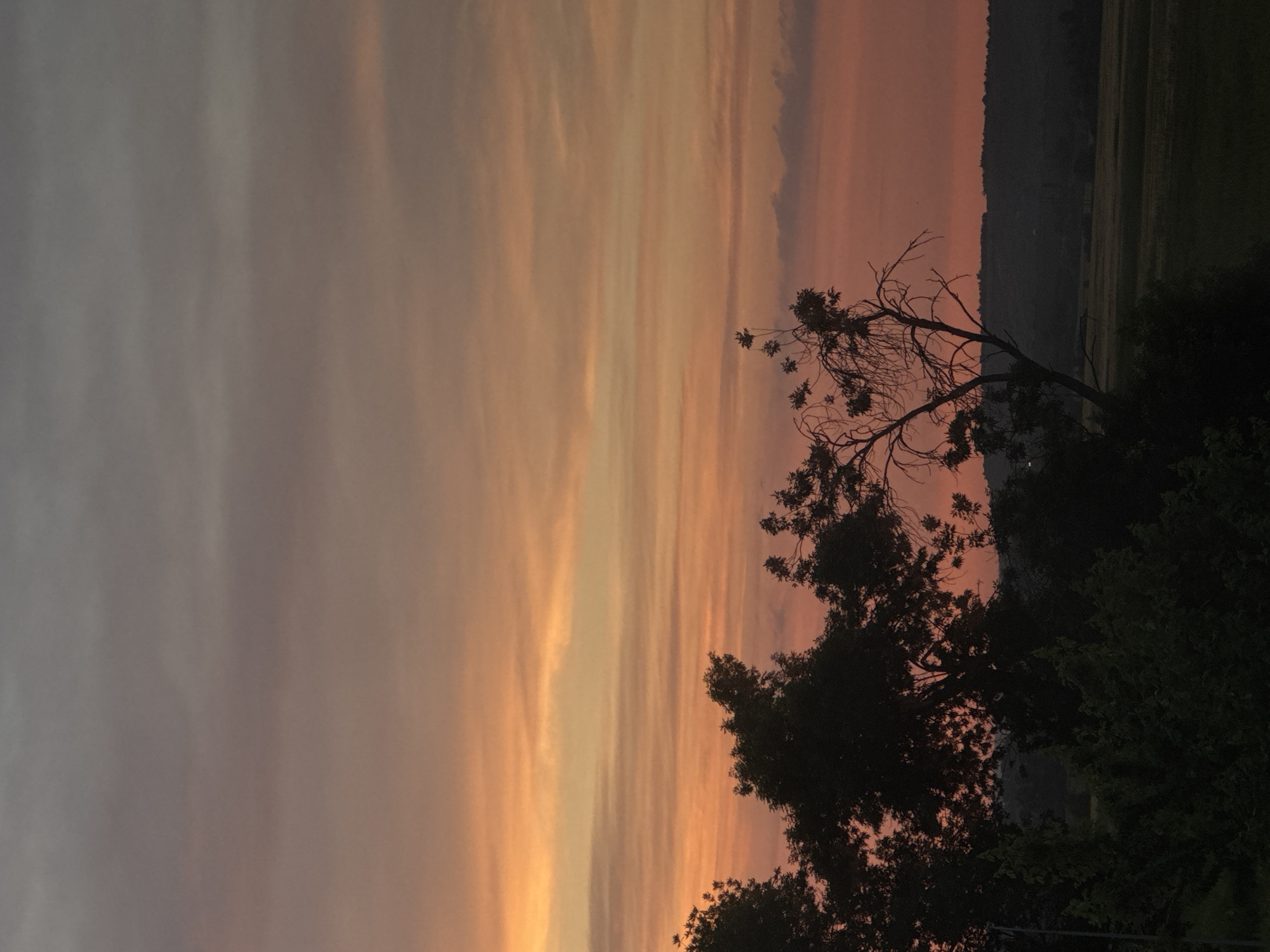 A photograph captures a serene sunset over Mikhaylovsk, Russia. The sky is a canvas of gradient hues, transitioning from a soft orange at the horizon to a muted grey at the zenith, with delicate, wispy clouds streaking across. In the foreground, the dark silhouettes of trees and foliage frame the lower portion of the image, their branches stark against the vibrant sky. The distant landscape is a dark, undulating line of hills or treelines, suggesting a rural or semi-rural setting. The overall mood is tranquil and atmospheric, highlighting the natural beauty of the sky during twilight. There are no people or discernible objects in the scene beyond the natural elements.
