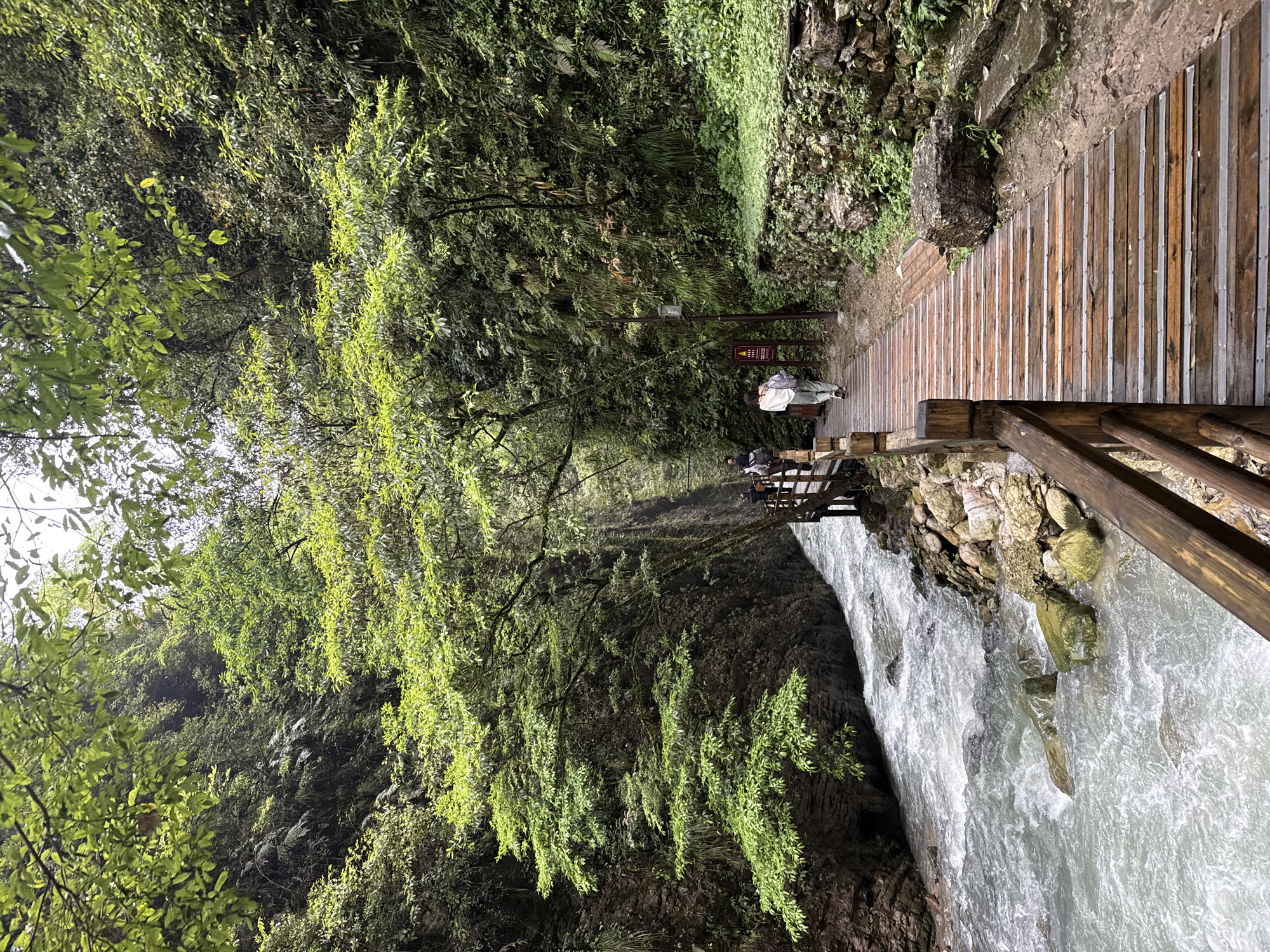 This landscape photograph depicts a wooden walkway running alongside a waterfall in Zhangjiajie, China. The walkway is made of wooden planks and has a wooden railing. The waterfall is flowing rapidly, and the water is white and foamy. Lush vegetation covers the surrounding area. The foliage includes trees and plants of varying shades of green. A few people are walking along the walkway, with one individual wearing a white shirt, adding a human element to the natural scene. The composition suggests a blend of constructed paths integrated within the natural landscape.