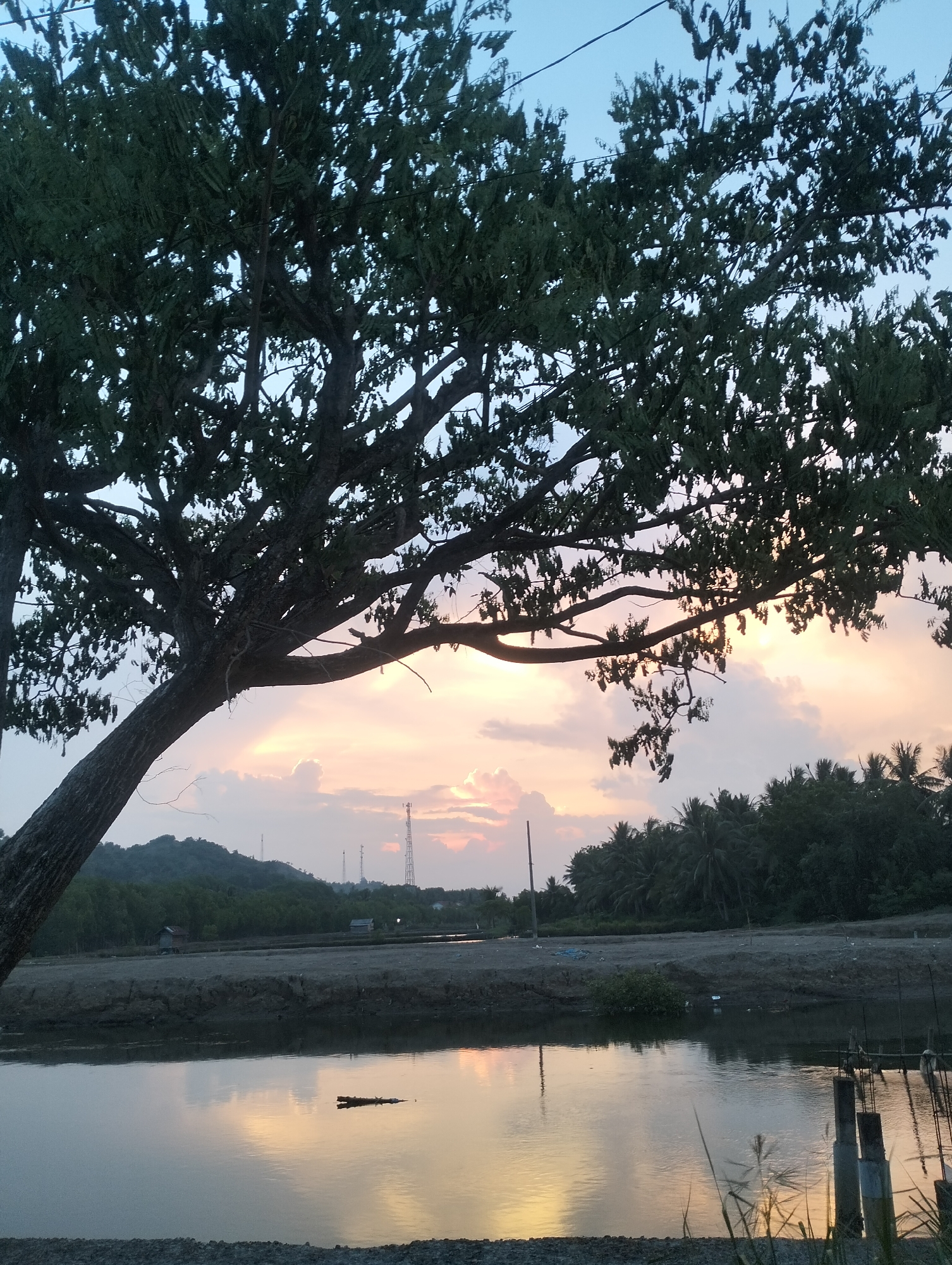 This image depicts a serene twilight landscape, likely at sunset, in Lhokseumawe, Indonesia. A large tree with dense, dark foliage dominates the left and upper sections of the frame, its trunk and branches creating a prominent silhouette against the sky.
The sky is a focal point, displaying soft hues of pale blue blending into warm oranges, pinks, and yellows near the horizon, where the setting sun illuminates scattered clouds. The tranquil body of water in the lower half of the image, possibly a pond or a slow-moving river, perfectly mirrors these vibrant sky colors, creating a striking reflection. A single log floats idly on the water's surface near the center.
Beyond the water's edge, a narrow bank of dry earth separates the foreground from the distant landscape. In the mid-ground, rolling hills or mountains covered with lush, dense greenery rise up. Several tall communication towers are visible on or near the hilltops, indicating human infrastructure within the natural setting. To the right, a cluster of tropical palm trees is silhouetted against the sky. Some small, simple structures, possibly huts or sheds, are faintly visible on the land between the water and the distant hills. In the immediate foreground on the right, slender grasses or reeds are silhouetted against the reflective water.
The scene is devoid of people or direct activity, lending an atmosphere of peace and tranquility. There is no visible text in the image. The warm, fading light and calm conditions suggest a quiet moment at the end of the day.