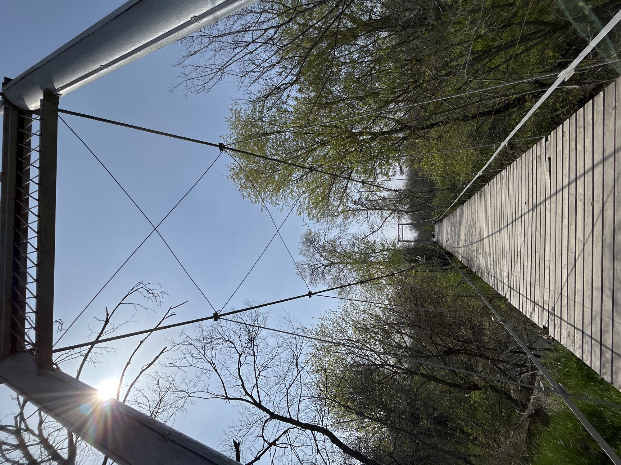 Looking up from below on a suspension bridge with wooden planks leading to the horizon. Trees line both sides of the bridge with some greenery. Steel cables support the bridge, crossing the sky. The sun is visible through the trees and structure on the lower left side of the frame. The sky is light blue. The bridge has metal supports on the left side. It is located in Plovdiv, Bulgaria.