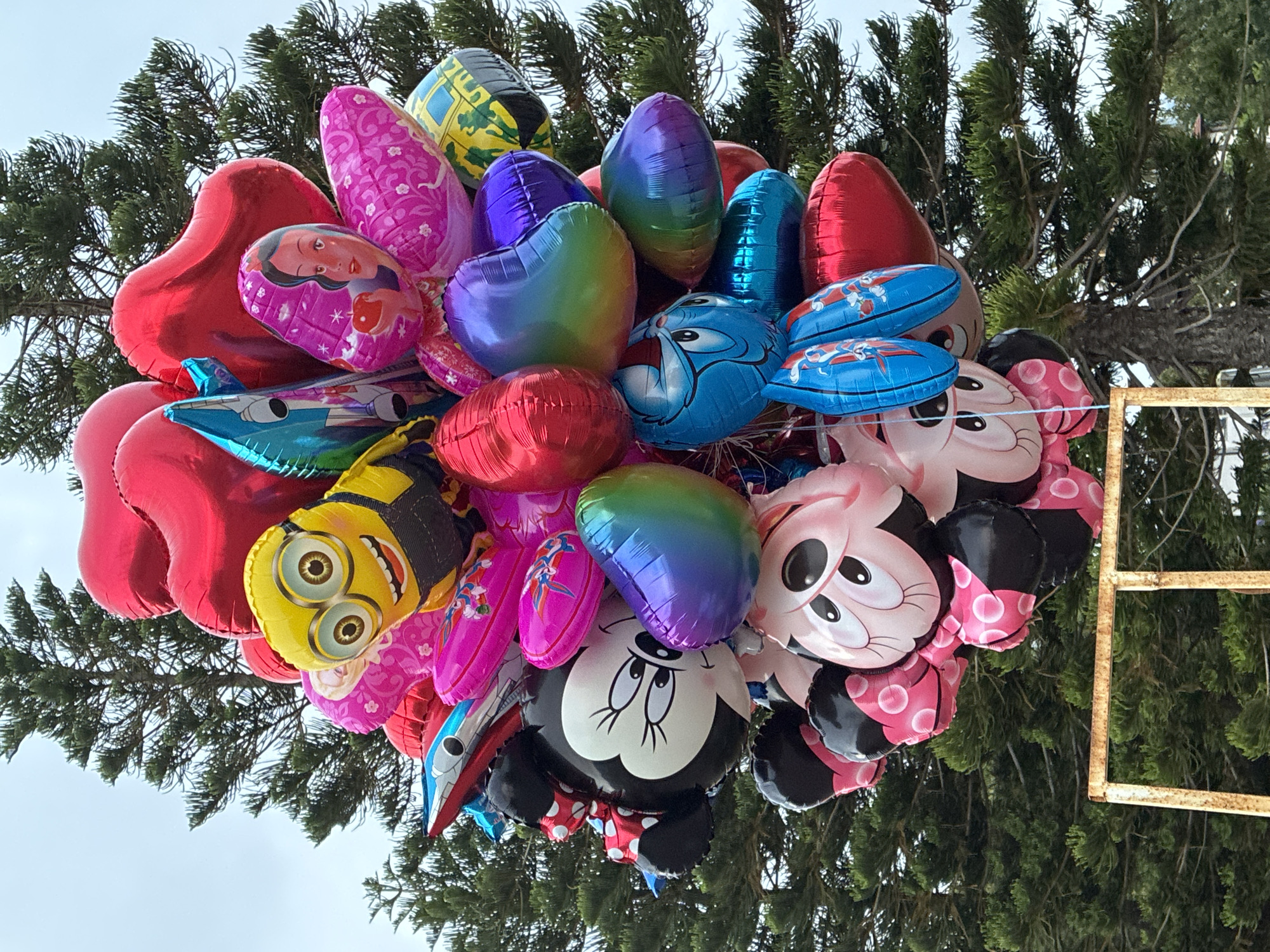 A vibrant and diverse collection of Mylar balloons is displayed against a backdrop of lush green evergreen trees and a bright, overcast sky. The balloons vary in shape, size, and color, featuring both solid hues and popular character designs.
Among the identifiable characters are Snow White, a Minion, Doraemon, and multiple representations of Mickey Mouse and Minnie Mouse, some with pink polka-dot bows and others with black. Several balloons are heart-shaped, rendered in solid red or an iridescent rainbow gradient. Other balloons include patterns, such as pink ones with floral designs, and a blue balloon depicting a spaceship or plane. The balloons are tightly clustered, suggesting they are tied together as part of a vendor's display or a festive outdoor decoration.
The setting appears to be outdoors during the daytime under cloudy skies, as indicated by the diffused, uniform light and the pale sky. Dense green trees occupy the mid-ground and background, providing a natural contrast to the colorful balloons. On the right side of the image, a portion of a rusty, rectangular metal frame is visible, possibly part of a stall or temporary structure. There is no legible text visible on the balloons or in the scene, apart from the recognizable branding of the character designs. This scene, located in Alanya, Turkey, evokes a cheerful and playful atmosphere.