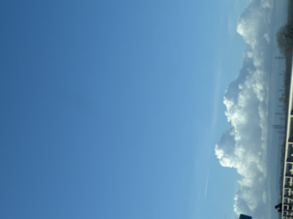 The scene is an exterior view, observed from an elevated position, potentially a bridge or overpass, located in the city of Altenheim, Germany. The upper two-thirds of the frame are dominated by a clear, bright blue sky. A faint, dark, circular artifact is present in the upper-center of the sky. The lower third of the sky features a horizontal band of distinct white cumulus clouds. In the immediate foreground, a light-colored, possibly concrete or painted metal, railing extends horizontally across the bottom edge. A dark, indistinct human figure is partially visible on the far left, positioned adjacent to the railing. Below the cloud line, in the middle ground, a series of dark, slender vertical structures, consistent with industrial pylons or chimneys, are scattered across the distant horizon. To the right, a deciduous tree with bare branches is partially visible. The ambient light indicates a sunny daytime condition.