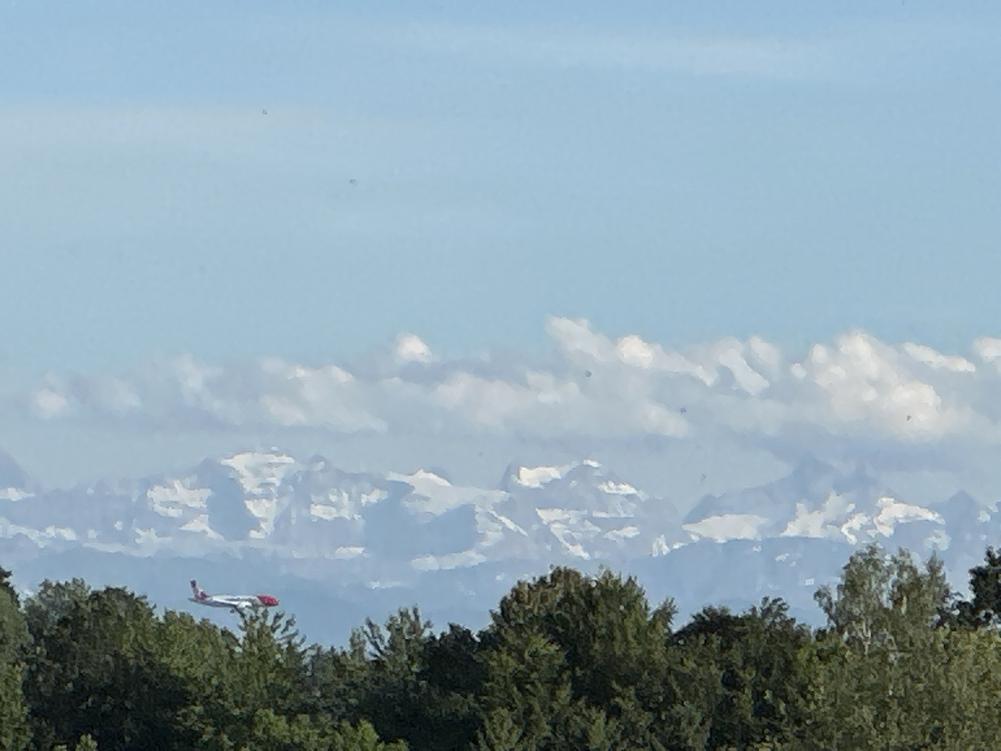 In Lufingen, Switzerland, a passenger airplane with a red and white livery is captured mid-flight against a backdrop of snow-capped mountains. The airplane is positioned in the lower left quadrant of the image, appearing to ascend or descend. The majestic mountain range, partially obscured by atmospheric haze and clouds, dominates the mid-ground. Lush green trees form a dense forest in the foreground, framing the lower edge of the scene. The sky is a clear, pale blue, with scattered white clouds that suggest fair weather. Several small, dark specks are visible in the sky, which may be birds or insects, though their exact nature is indeterminate. The image offers a scenic view, blending natural landscapes with aviation activity.