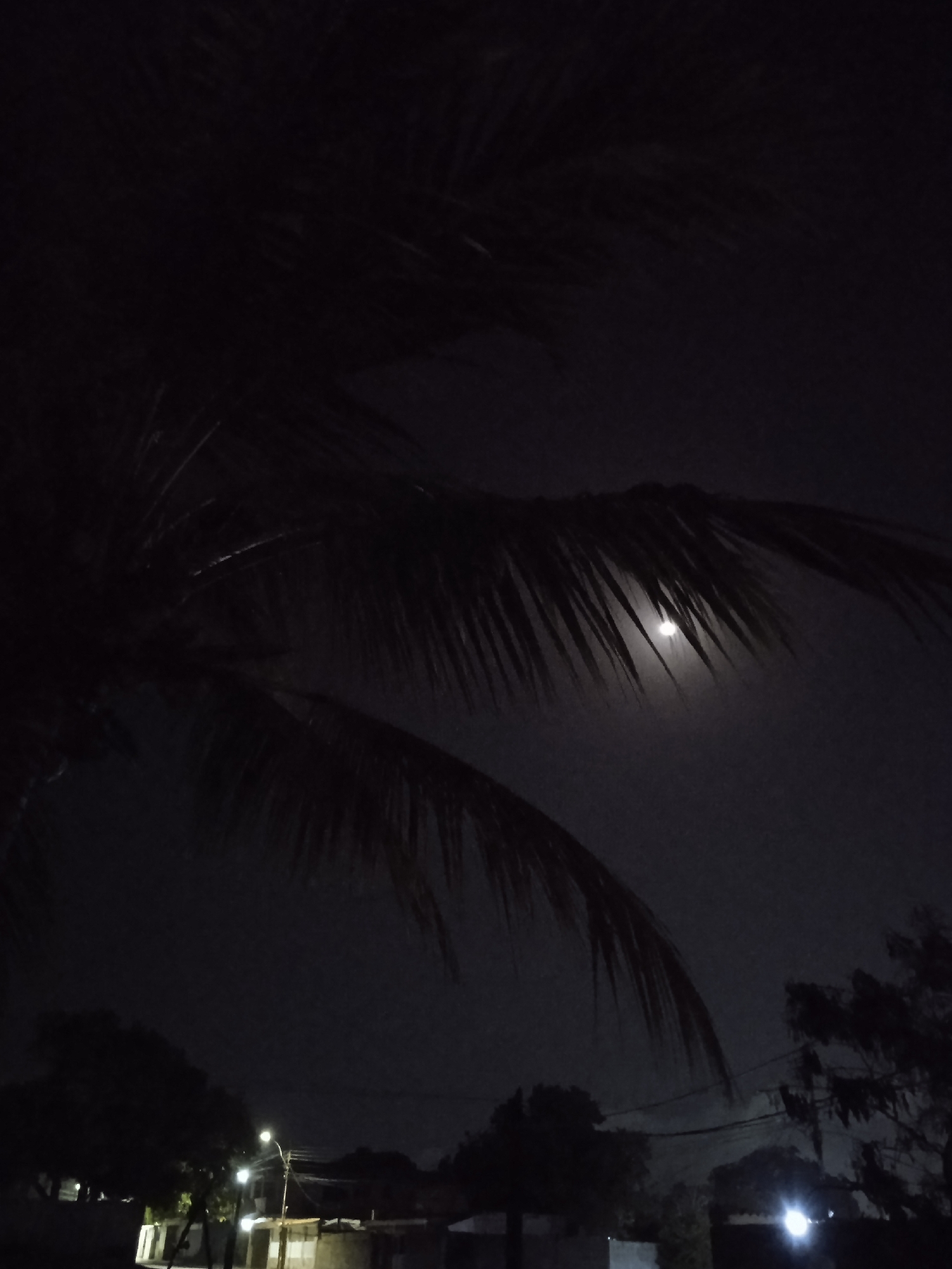 The image shows a night scene, likely in Los Chacos, Venezuela. A full moon is partially visible through the fronds of a palm tree. Below the palm tree, a cityscape is visible, illuminated by streetlights and building lights. Other trees and buildings can be distinguished in silhouette against the dark sky. No people are directly visible. The scene suggests a residential area at night.