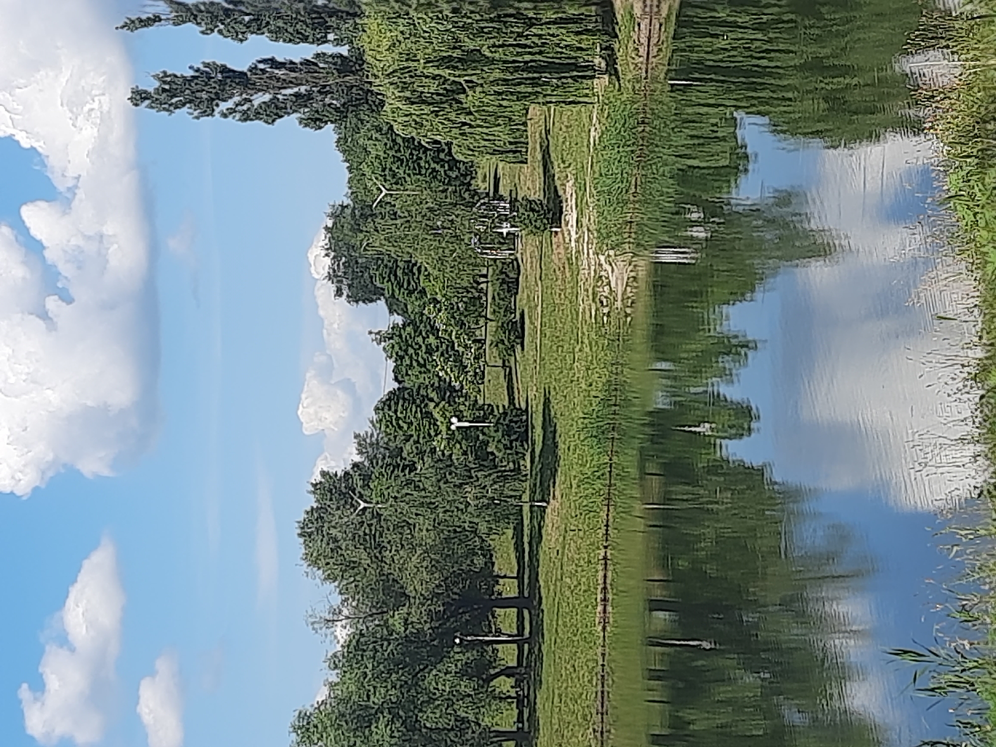The image depicts a serene park scene in Horishni Plavni, Ukraine, with a tranquil body of water reflecting the lush greenery and the sky. The sun is shining, indicating it is daytime, and the weather appears pleasant with fluffy white clouds scattered across a clear blue sky.
The foreground is dominated by the reflective surface of the water, which mirrors the trees and the sky, creating a sense of depth and calm. Along the banks of the water, a well-maintained grassy area is visible, dotted with trees that cast shadows. In the background, a line of mature trees with dense foliage forms a natural backdrop. Some of the trees have streetlights or lamp posts nearby, suggesting a park or recreational area that is accessible and maintained.
There are no people visible in the image. The overall atmosphere is one of peace and natural beauty. The location cues, such as the vegetation and the presence of park amenities, along with the given location context of Horishni Plavni, Ukraine, contribute to the understanding of the scene. The image captures a typical day in a park, showcasing the harmonious blend of nature and human-made elements.