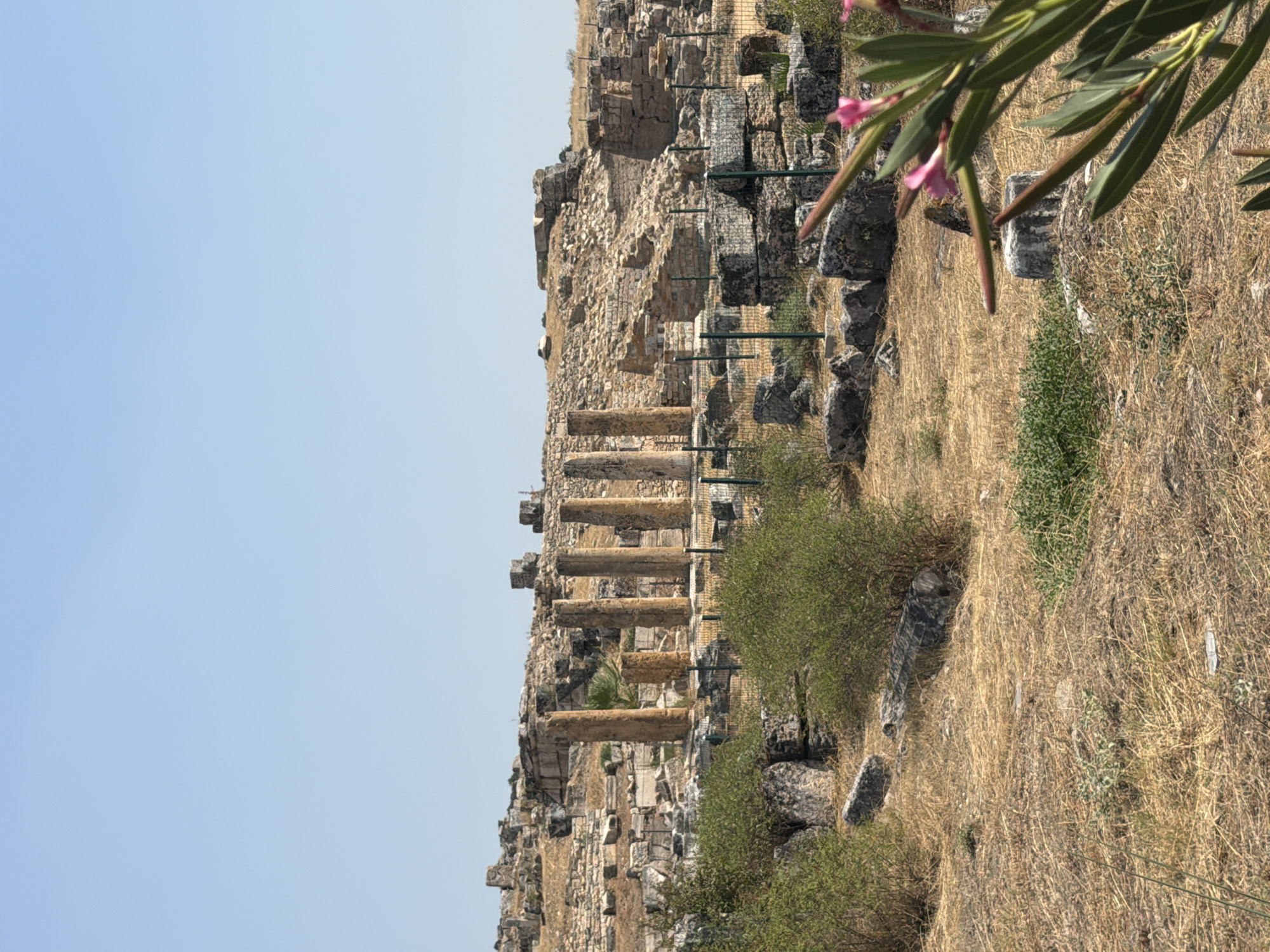 The image shows the ruins of Hierapolis, a UNESCO World Heritage site in Pamukkale, Turkey. In the background, a line of ancient stone columns stands against a clear blue sky. The surrounding area is a landscape of dry, golden grass, scattered rocks, and overgrown green bushes. The foreground is partially obscured by a flowering plant with pink blossoms. The ruins are fenced off, suggesting a preserved archaeological site.