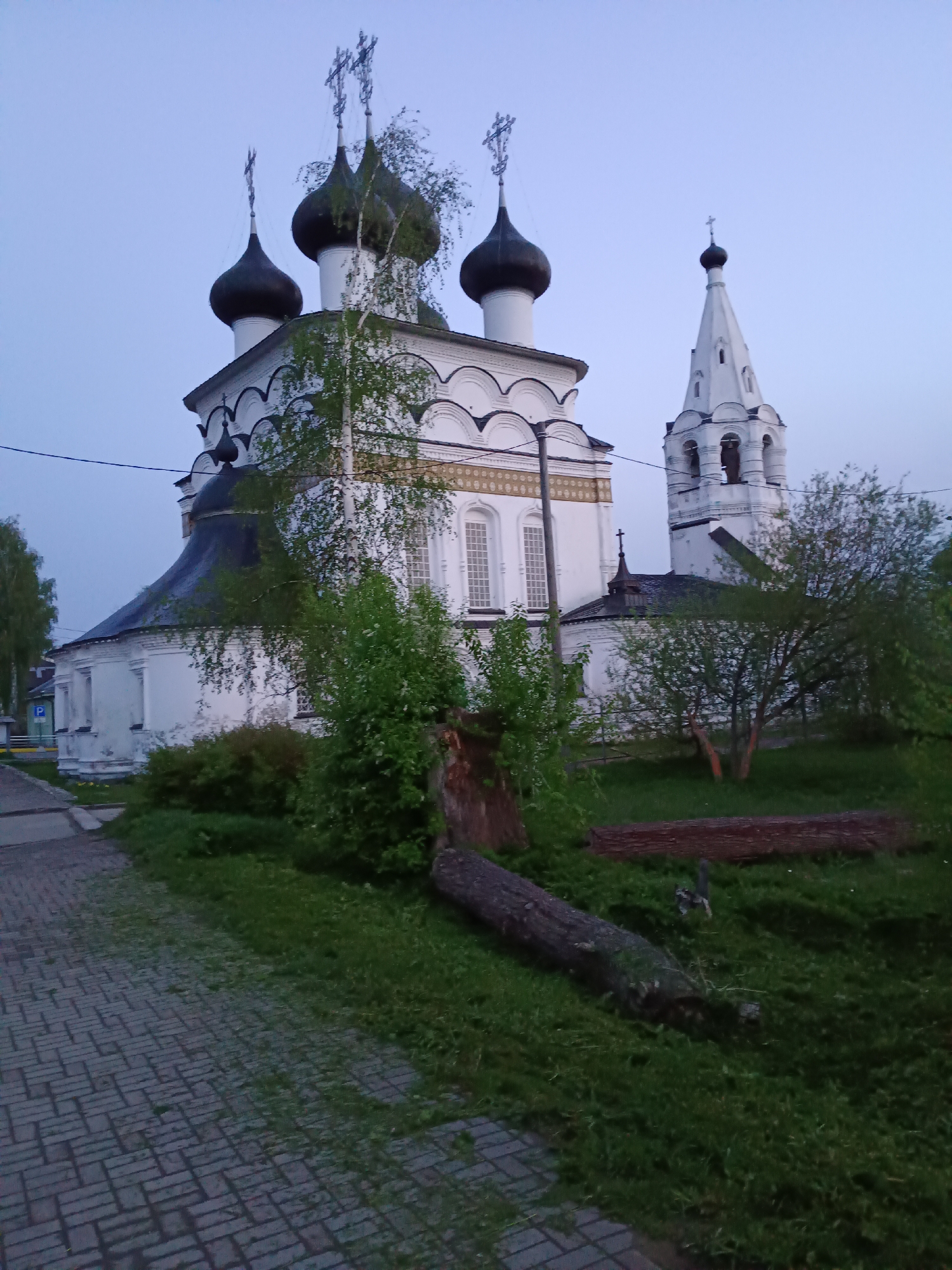 The image shows a white Orthodox church with black domes and a separate bell tower in Belozersk, Russia. The church features intricate architectural details with rounded arches, decorative cornices, and crosses atop the domes and bell tower. Lush green grass and trees fill the foreground, with two fallen tree trunks lying in the grass. A paved brick walkway leads along the side of the church. The sky is overcast with a bluish-gray hue, suggesting either early morning or late evening. Electrical wires can be seen strung across the sky above the church.