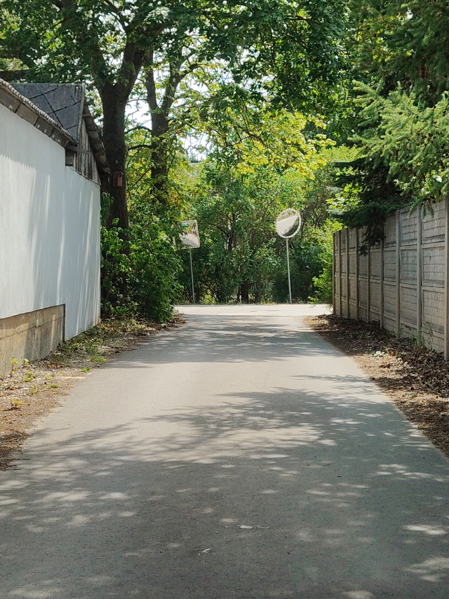 The image depicts a paved road in Palmiry, Poland, lined with vegetation and a concrete fence on the right side. On the left, a white building with a grey, tiled roof is visible, adjacent to a large tree. Several traffic mirrors are positioned along the road. The scene is illuminated by sunlight, casting dappled shadows across the pavement. The environment suggests a rural or semi-rural setting, possibly a residential area or a road leading to one.