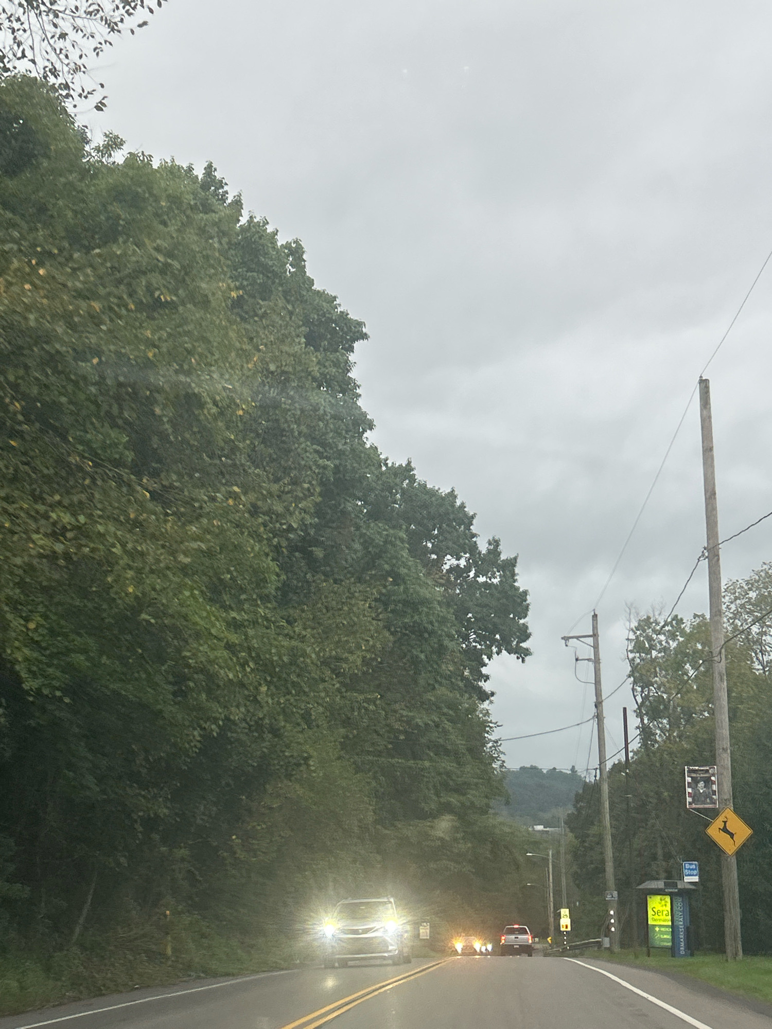 The image depicts a cloudy day in a semi-urban or rural area. A two-lane road curves to the left, with a car with its headlights on driving towards the viewer on the right lane, and another car ahead on the left lane. Dense green trees line the left side of the road, creating a tunnel effect. On the right side of the road, there are utility poles with wires, a bus stop sign, a yellow deer crossing sign, and a billboard with a man's portrait. A few other cars are visible in the distance. The sky is overcast and gray. There are no visible people in the image. The scene appears to be on the outskirts of Pittsburgh, possibly in a wooded area with some local businesses.