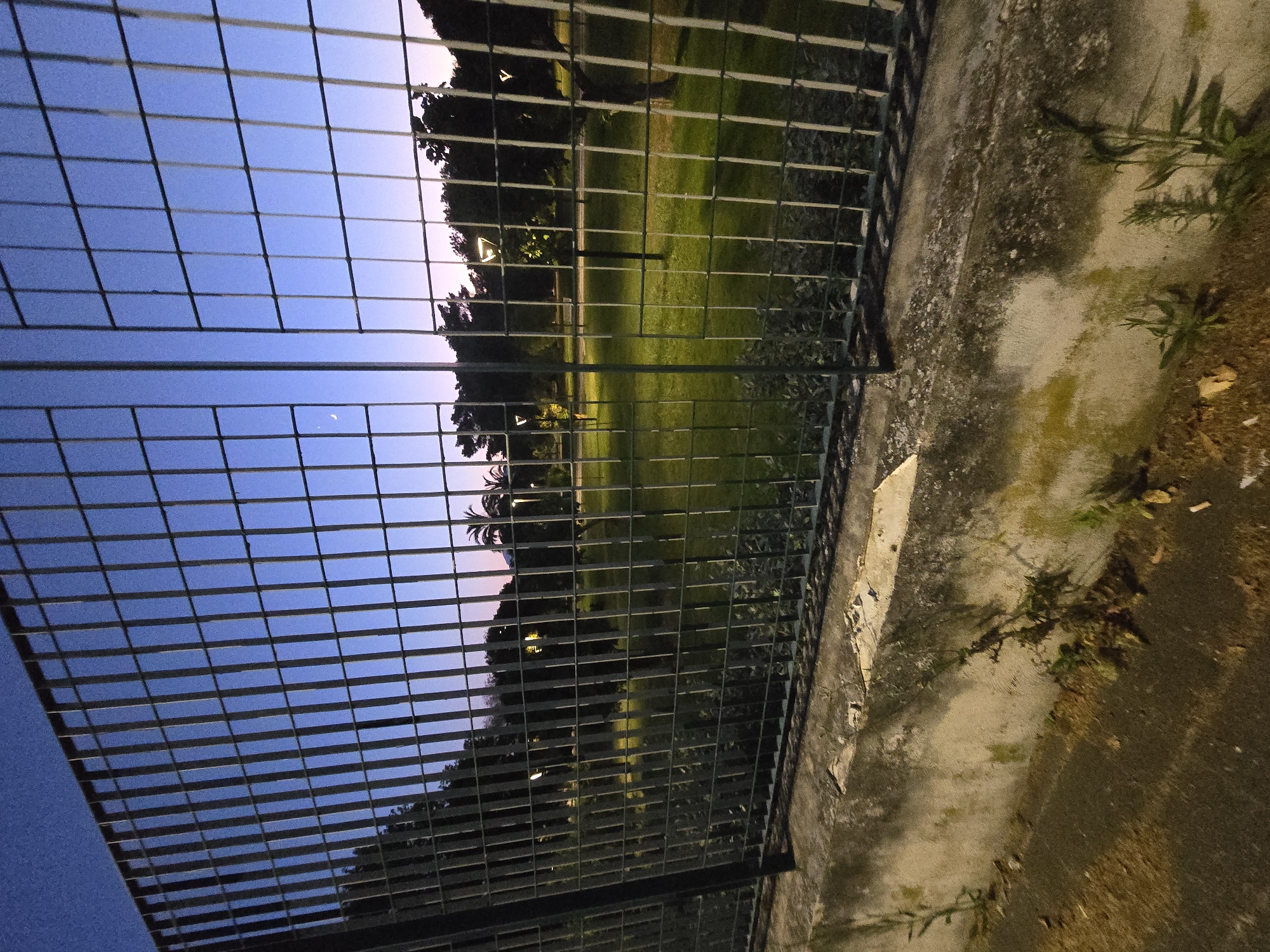 The image shows a view through a dark metal fence towards a park at dusk. The sky is a gradient of deep blue to pink. The fence is made of vertical bars with horizontal crossbars, creating a grid pattern. Through the fence, a well-maintained green lawn is visible, illuminated by several modern-style lampposts. Trees with dark foliage line the background, and a sliver of moon is visible in the upper left corner of the sky. In the foreground, a concrete wall is visible, showing signs of wear and patches of moss, with some sparse green plants growing along its base. The ground in front of the wall is dark and appears to be paved. The scene suggests a public park in an urban setting, likely Salerno, Italy, given the specific lamppost design and general aesthetic. There are no people or animals visible in the image.