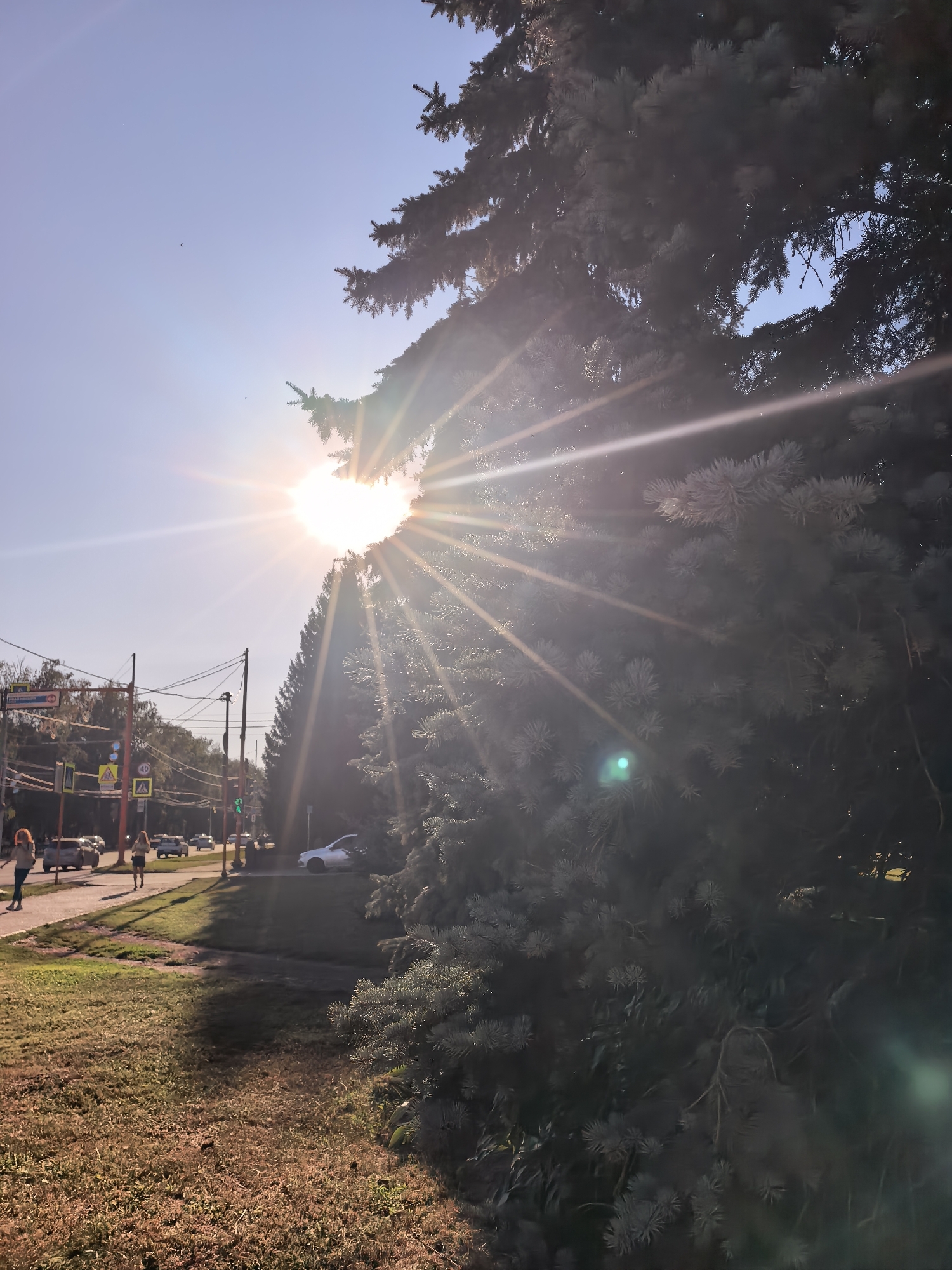 The image depicts a sunlit street scene with a large evergreen tree in the foreground. The sun is positioned in the upper left portion of the frame, creating strong lens flare and visible sunbeams that fan out across the image. The tree, likely a spruce or fir, occupies the right side of the frame, its needles and branches silhouetted against the bright sky.
In the background, a street runs horizontally, with several cars driving on it. Traffic lights and pedestrian crossing signs are visible along the roadside, indicating an urban or suburban setting. Two young women are walking on the sidewalk on the left side of the street. The sky is a clear, pale blue, with a hint of haze or atmospheric dust catching the sunlight. The ground in the foreground is covered in dry grass and dirt, suggesting a warm season.
Based on the context of Sterlitamak, Russia, this scene likely captures a typical streetscape during a sunny day. The presence of traffic, sidewalks, and street signage confirms an inhabited area. The lighting suggests either morning or late afternoon sun.