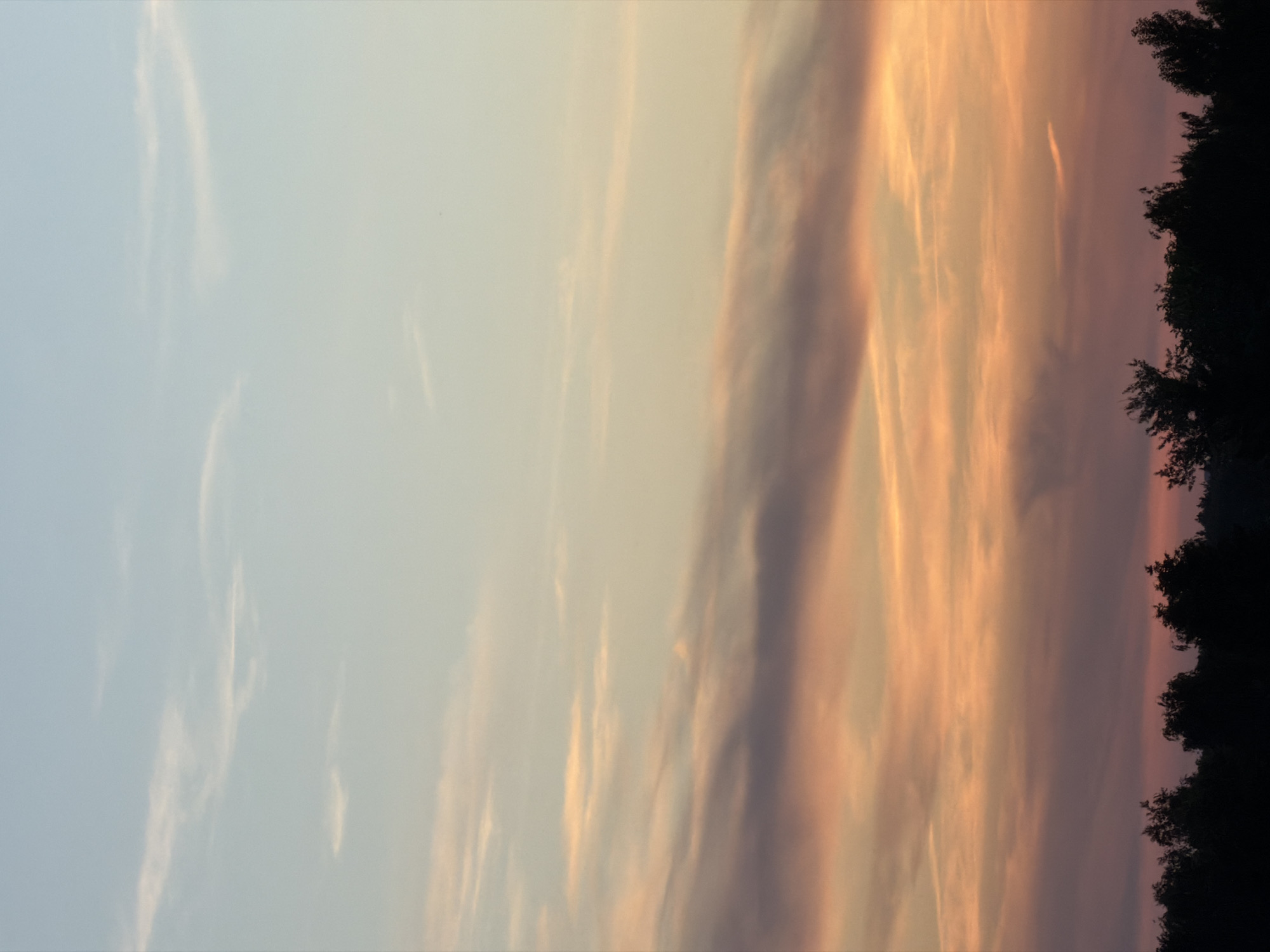 A vertical format image displays a dawn or dusk sky over a natural landscape in the city of Unknown, Unknown. The upper portion of the sky is light blue with sparse, faint white cloud wisps. Below this, the sky transitions into a gradient of colors, moving from pale yellow and bright orange in the middle to deep purple and strong orange-pink closer to the horizon. Horizontal bands of clouds, ranging in color from orange and pink to dark purple-grey, are prominent across the middle and lower sky. The bottom fifth of the frame is occupied by a dark, solid black silhouette of a treeline, with the irregular shapes of individual tree crowns visible against the vibrant sky. No human figures, animals, or artificial structures are discernible.