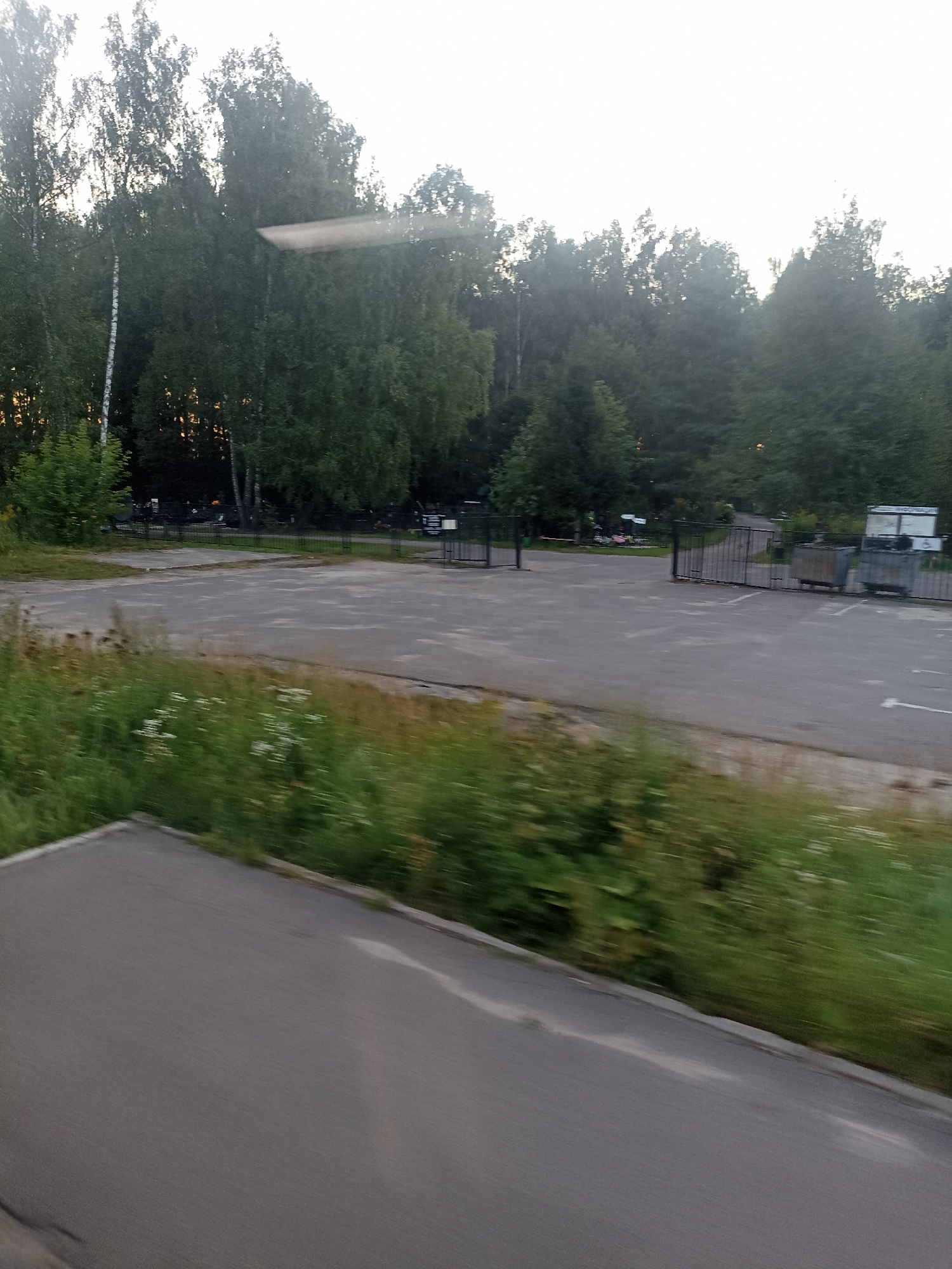 The image depicts an outdoor scene in a city setting, likely a cemetery or a memorial park, with lush green trees lining the background. The foreground features a paved area with visible markings, possibly parking spaces or pathways. Several black metal gates are present, some open and others closed, suggesting entrances or divisions within the area. Adjacent to one of the gates are large metal bins, likely for waste disposal. The overall ambiance is overcast, with a slight blur indicating movement during the capture of the image. The vegetation appears well-maintained, with some areas of wild grass and small white flowers interspersed with the manicured greenery.
