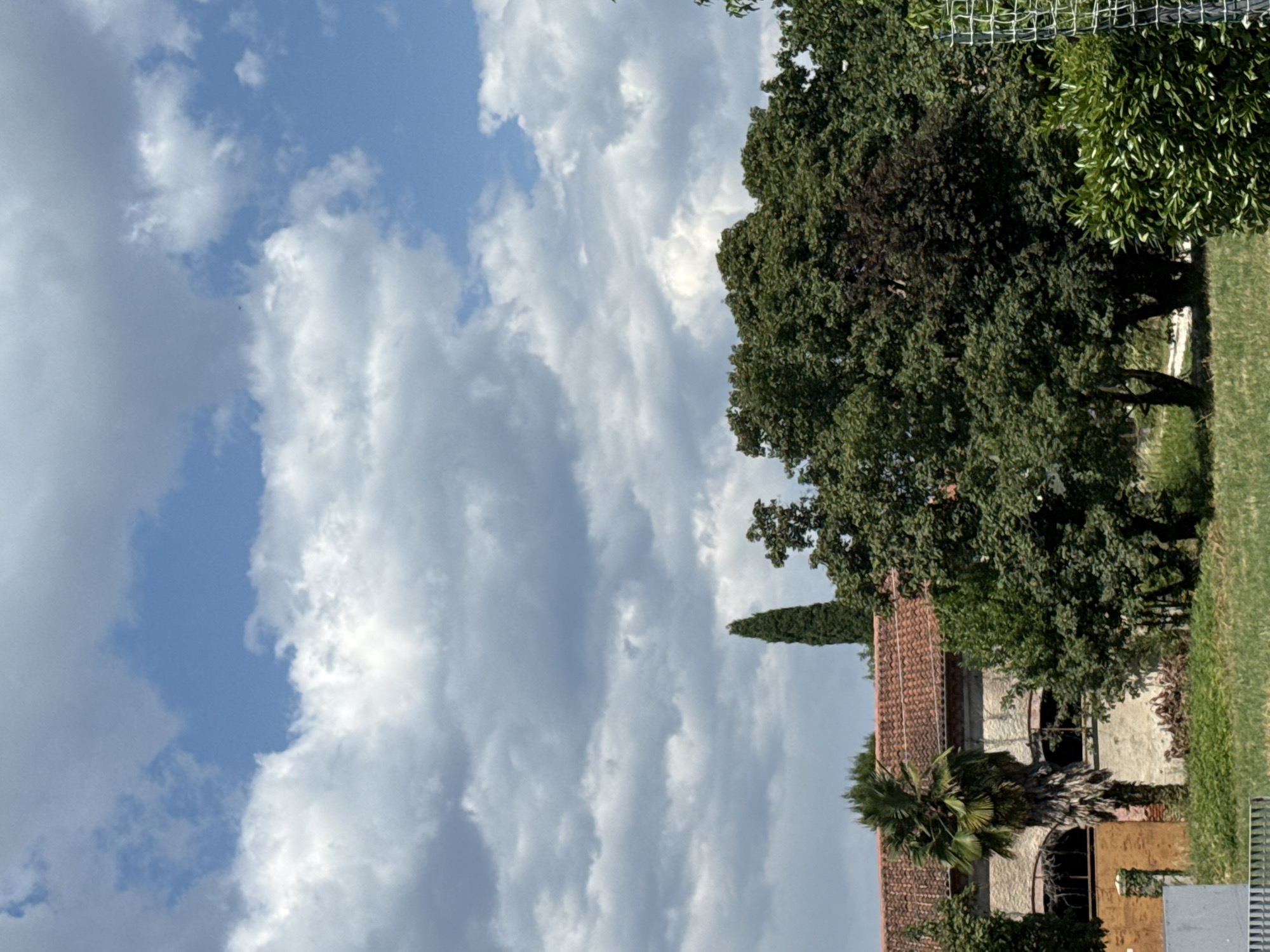 This is a vertical, medium-angle shot of a rustic Italian building with a terracotta-tiled roof. The building appears aged and has arched openings. In front of the building, there is a palm tree and other greenery. The background features a large, lush green tree and a fence at the top right. The sky is filled with dramatic, fluffy white and gray clouds, suggesting a partly cloudy day. The lighting indicates it is likely daytime, possibly late morning or early afternoon. The overall scene evokes a sense of rural tranquility and historical architecture in Italy, with Sarcedo being the identified location. No people are visible in the image, and there is no discernible text.
