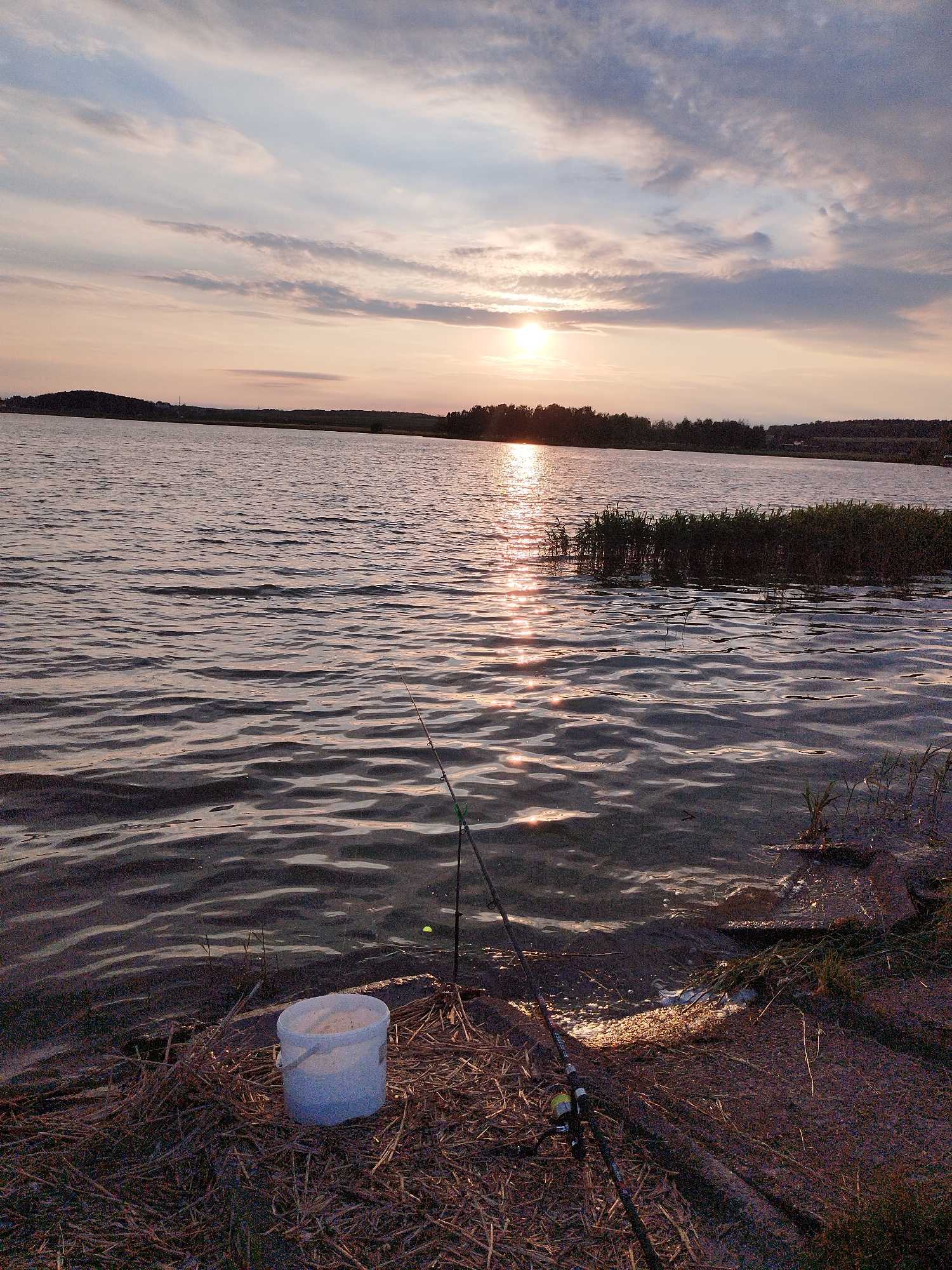 A serene sunset scene is captured by a lake, with the sun casting a shimmering golden path across the rippling water. The foreground features a white bucket filled with bait, resting on dried reeds and straw. Two fishing rods are set up, one in the water and the other on the shore, indicating an active fishing session. The lake is bordered by a line of trees and hills in the distance, silhouetted against the colorful twilight sky. The overall atmosphere is peaceful and tranquil, evoking a sense of calm and relaxation by the water.