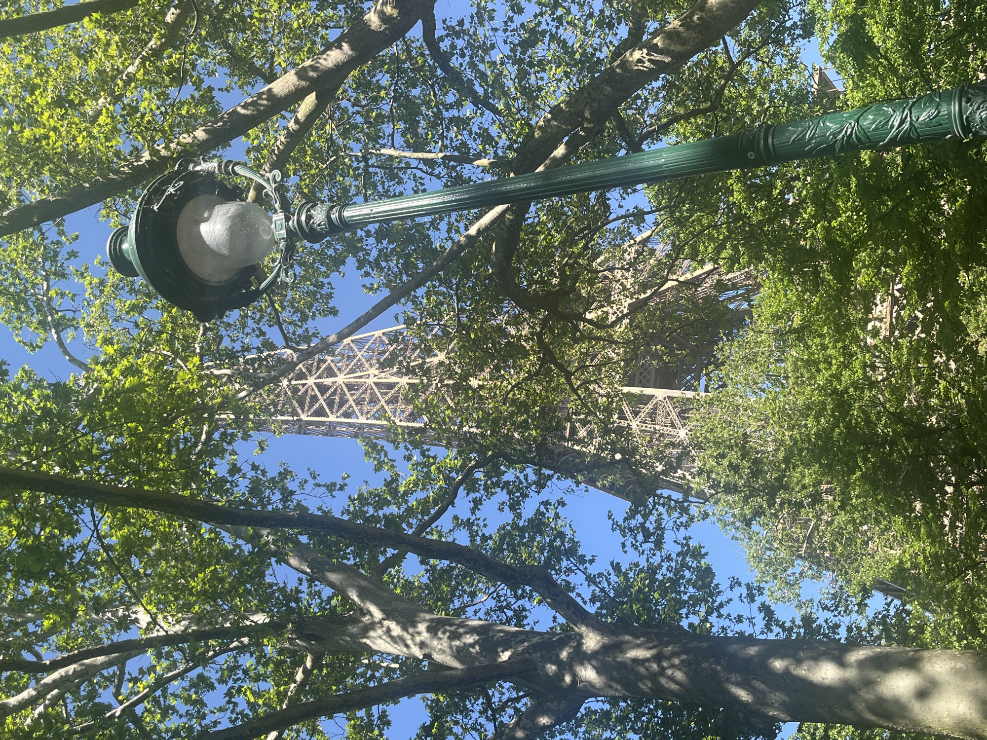 An upward-angled outdoor shot captures a vibrant Parisian scene, rotated 90 degrees clockwise from its natural orientation. A prominent, dark green lamppost extends diagonally across the frame from bottom left to top right. Its ornate design features sculpted leaf or vine patterns along the pole and decorative scrollwork supporting the frosted, rounded lightbulb.
The lamppost is surrounded by the lush green foliage and sturdy branches of several trees, likely plane trees, which fill the majority of the image with their leaves shimmering in bright sunlight. The branches and leaves create a natural canopy against a clear, brilliant blue sky.
Through gaps in the dense tree cover, the distinctive lattice-work structure of the Eiffel Tower is visible in the upper background, confirming the location in Paris, France. The bright illumination indicates a sunny day, likely during late morning or early afternoon, with high sun creating dappled shadows on some tree trunks. There is no discernible activity or visible text in the image.