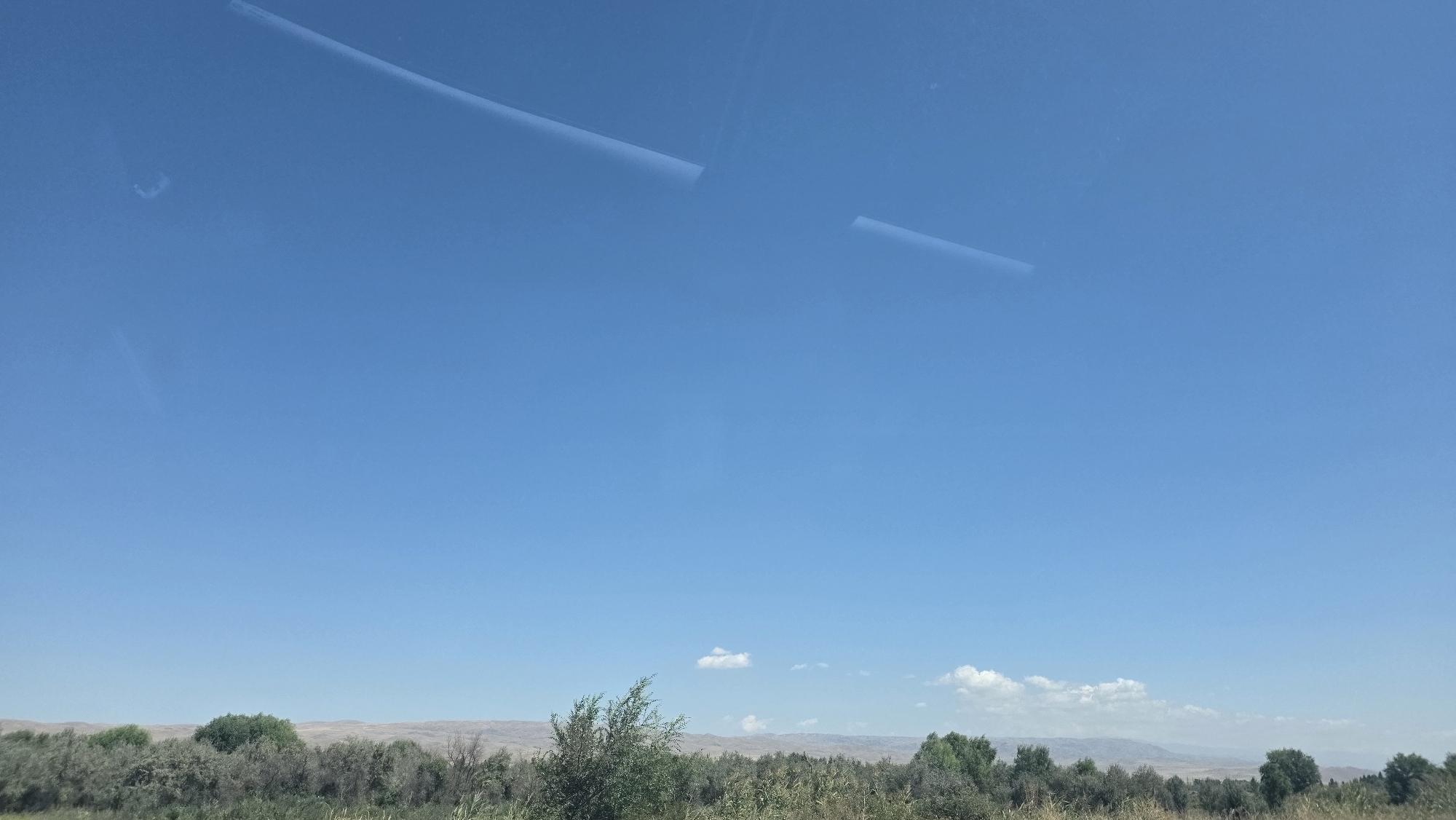 The image displays a wide, clear blue sky with a few faint, diagonal white streaks, possibly reflections or contrails. Below the sky, a distant, muted landscape stretches across the horizon, characterized by rolling hills. In the foreground, a dense line of vegetation, comprising various types of trees and shrubs, creates a natural border. The vegetation is predominantly green, with some areas appearing more arid and muted in color. A few small, wispy white clouds are visible in the sky above the distant hills. The scene appears to be a natural, outdoor environment, likely taken during daylight. The location is stated to be Birdik, Kyrgyzstan, which suggests a rural or natural setting within that region.