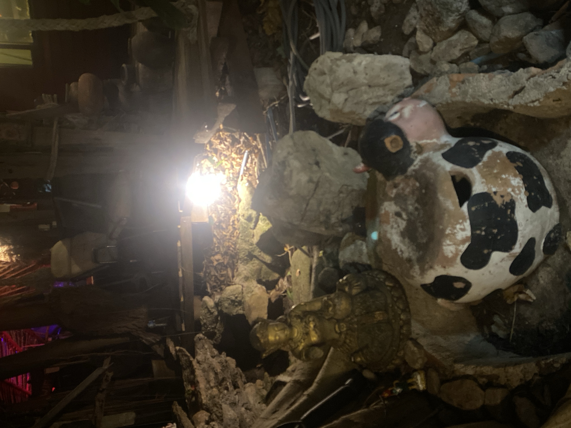 The image captures an outdoor scene in Baan Don Sai, Thailand, at night. A concrete and stone structure houses a collection of decorative items. A weathered, painted duck statue with black and white spots is prominently positioned near the top. Below it, a gold-colored Buddha figure is nestled among the rocks. The overall environment is dimly lit, with a bright light source on the left illuminating nearby foliage and wooden beams. The general impression is one of a grotto-like display with a mix of religious and decorative objects.
