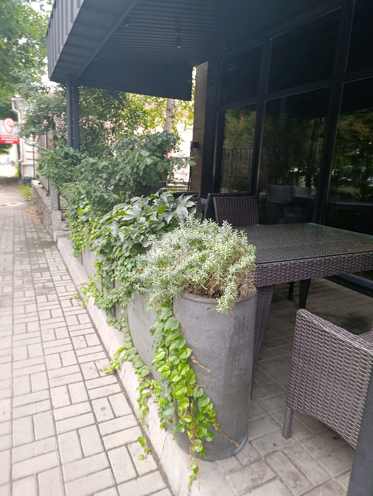An exterior shot shows a covered outdoor seating area with a glass-topped table and wicker chairs. The area is bordered by a planter filled with lush green foliage, including trailing ivy. A paved walkway made of light gray rectangular bricks runs alongside the seating area. Trees and foliage are visible in the background, suggesting a green urban setting. The scene appears to be in a commercial establishment, possibly a cafe or restaurant, in Cherkasy, Ukraine. No people are present in the image. The overall atmosphere is one of quiet outdoor dining or waiting.