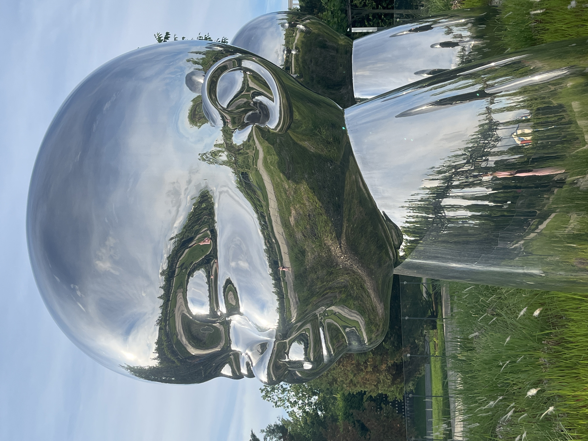 The image shows a highly polished metal sculpture of a human head, reflecting the surrounding environment. The sculpture is located in a park-like setting in Krasnodar, Russia. The reflection on the metal surface shows trees, a path, and the sky. The sculpture is composed of distinct sections, creating the overall head shape. There is also tall grass in the area.