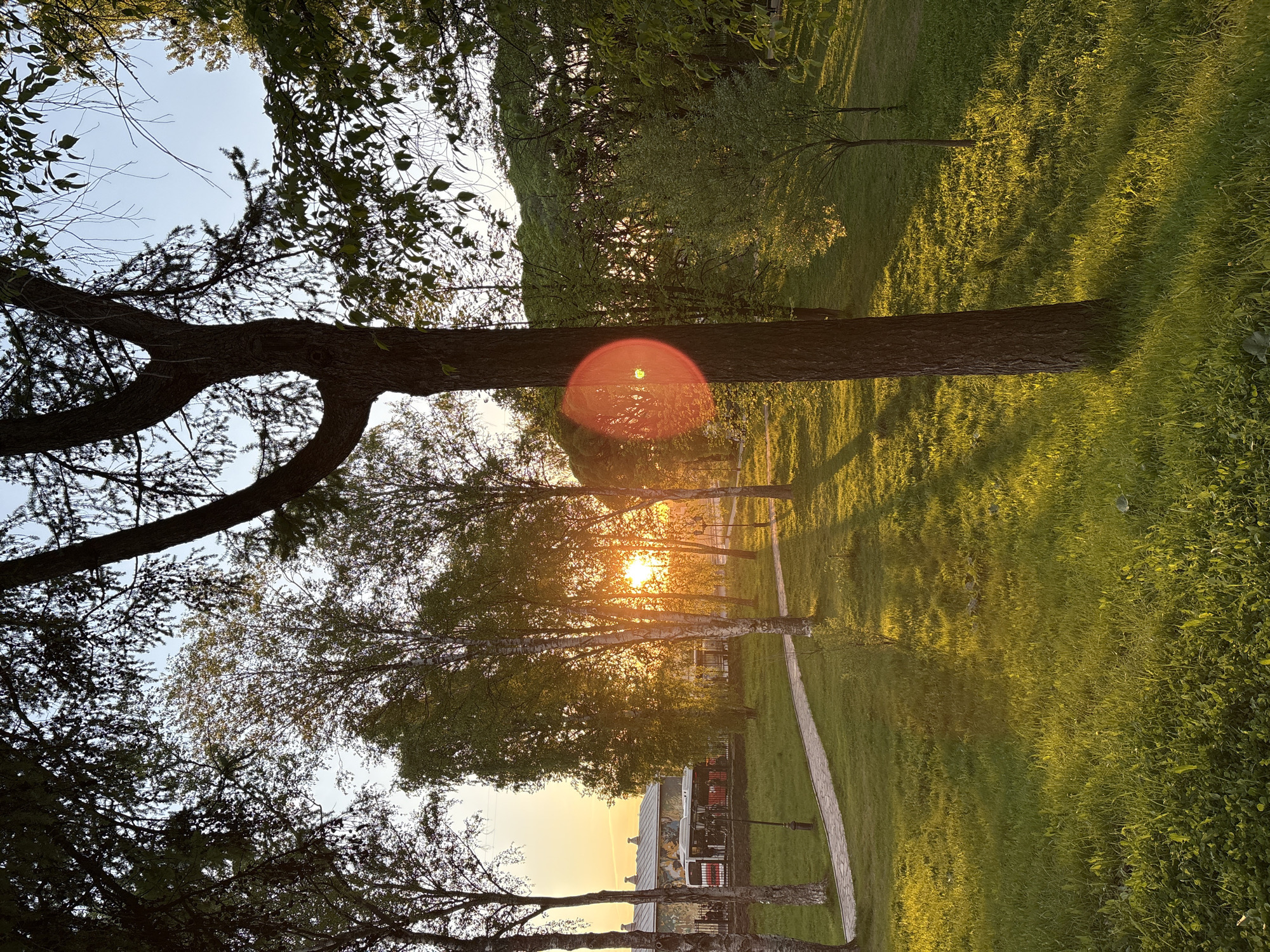 The image depicts a park setting at sunset. In the foreground, tree branches frame the sky. The sun's rays filter through the trees, creating a lens flare effect. A path cuts through the green grass, and the scene includes buildings and other trees in the background. The location is the city of Perm, Russia.