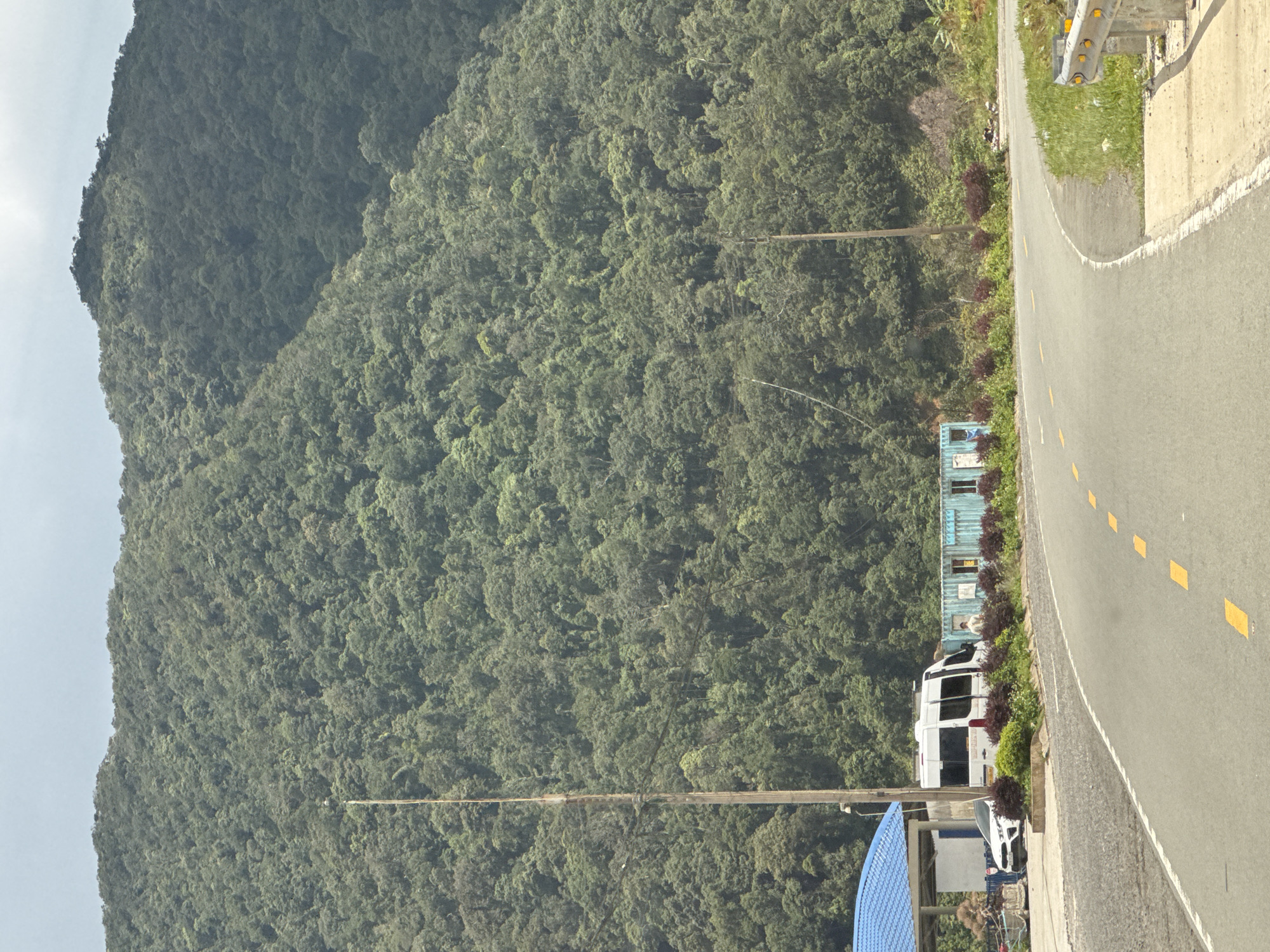 The image depicts a roadside scene in the vicinity of Nam Khánh Vĩnh, Vietnam, characterized by a verdant, densely forested mountain slope dominating the background. In the foreground, a paved road curves to the right, marked with yellow dashed lines. To the left of the road, a blue-roofed structure with white walls is visible, adjacent to a white car. Further along the road, a white van is parked, and behind it, a light blue shipping container with windows and some bundled items is situated. Several dark red bushes line the edge of the road. A tall, slender wooden utility pole with wires stretches upwards, partially obscured by the vegetation and the mountain. A second, similar utility pole is visible further down the road. The sky is overcast.