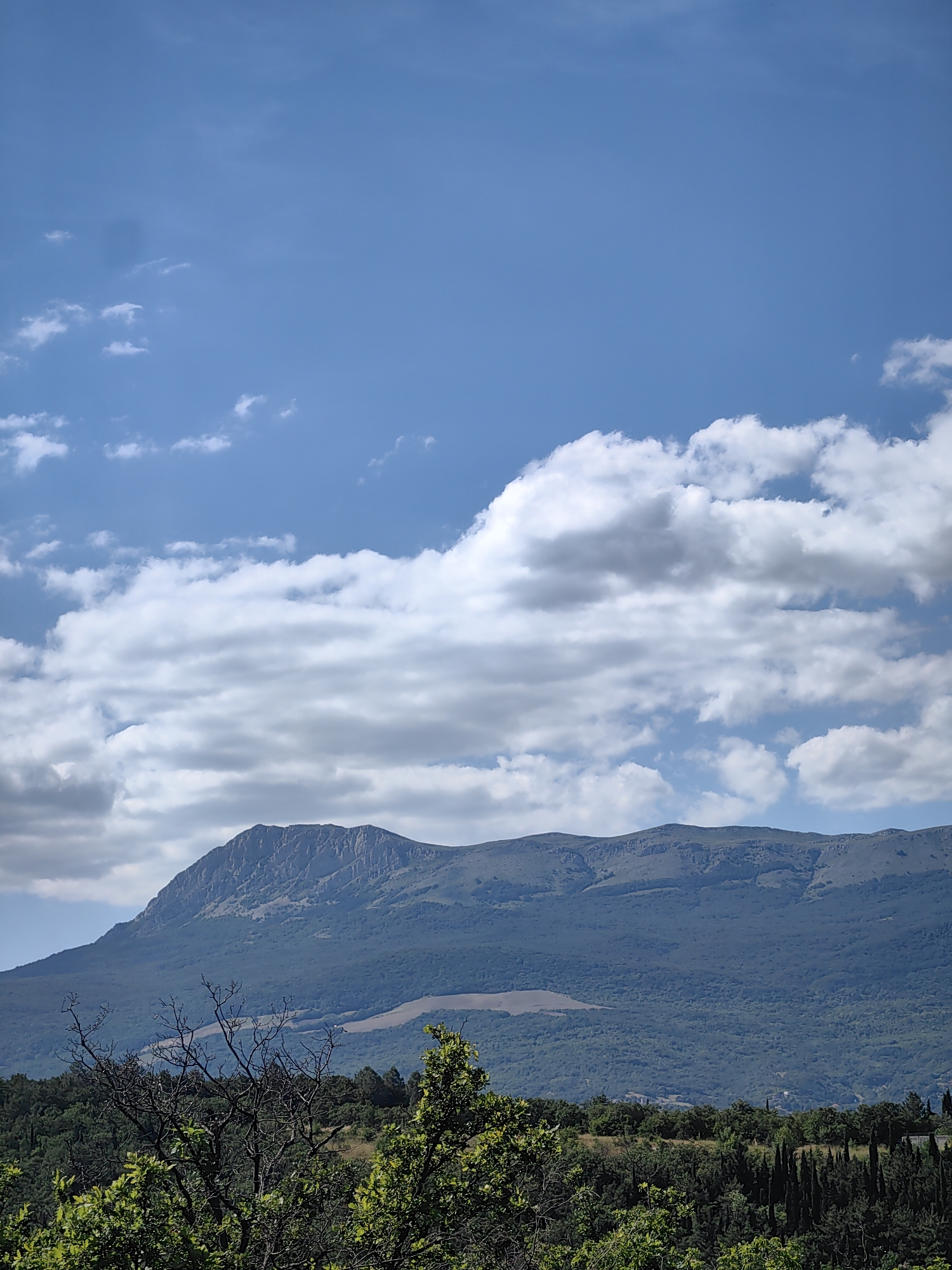 This is a landscape photograph of a mountainous region under a bright, blue sky dotted with fluffy white clouds. The foreground is filled with lush green trees and some bare, thorny branches, suggesting a wild, natural setting. Beyond the trees, a vast, dark green mountain range dominates the middle ground, its slopes covered in dense forest. The peak of the mountain is visible, showing rocky outcrops and a rugged texture. In the distance, a lighter patch of land, possibly a field or cleared area, breaks the monotony of the green slopes. The overall impression is one of a serene and expansive natural environment, likely captured on a clear, sunny day, suggesting daytime. There is no visible text or human activity. The location context is Kiparisnoe, Ukraine.