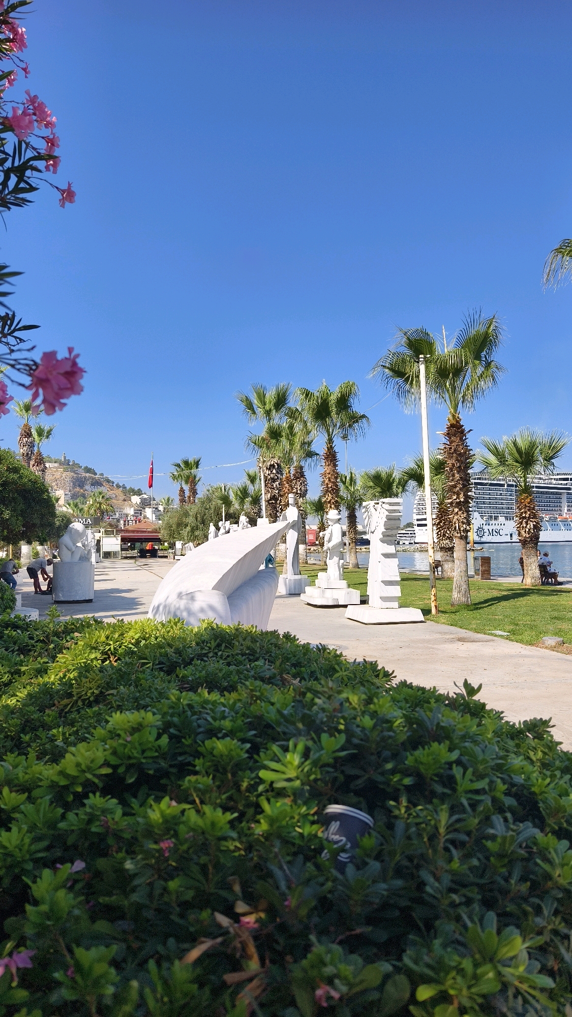 The image depicts a sunny outdoor scene in Kuşadası, Turkey, likely along the waterfront promenade. In the foreground, a dense green hedge with scattered pink blossoms forms a lush border. Beyond the hedge, a paved pathway stretches into the midground.
Several white abstract sculptures are displayed on the pathway, some resembling human figures and others more geometric. One large, curved white sculpture dominates the center-left of the frame. To the left of this sculpture, two individuals are engaged in an activity, possibly related to art or maintenance, near another white sculpture.
A row of palm trees lines the pathway, with a few larger specimens standing out against the bright blue sky. In the background, a large cruise ship, identified by the "MSC" logo, is docked in the harbor. Buildings and a hillside with structures can be seen in the distance to the left. A Turkish flag is visible on a flagpole. The overall atmosphere is bright and serene, suggesting a public recreational area.