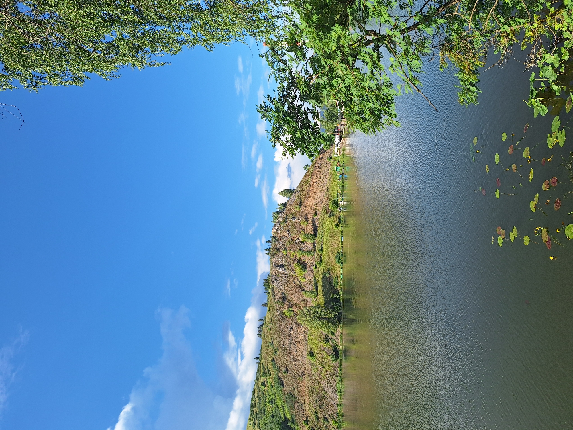 The image depicts a scenic view of the Usolka River in Sim, Russia, on a bright, sunny day. The river occupies the foreground, its surface rippling with the gentle breeze. Lily pads and yellow water lilies are scattered across the water, particularly in the lower right corner. Across the river, a verdant hill rises, its slopes covered in grass and dotted with trees and rocky outcrops. The hill is a mix of green and brown hues, suggesting a natural, untamed landscape. Along the base of the hill, small, colorful structures that appear to be fishing huts or small cabins are visible, indicating a recreational area. The sky above is a vibrant blue, punctuated by scattered white clouds, creating a sense of vastness and clarity. In the right foreground, the branches of a leafy green tree, possibly a birch, hang into the frame, its leaves creating a natural frame for the picturesque scene. The overall atmosphere is serene and idyllic, showcasing the natural beauty of the Russian countryside.