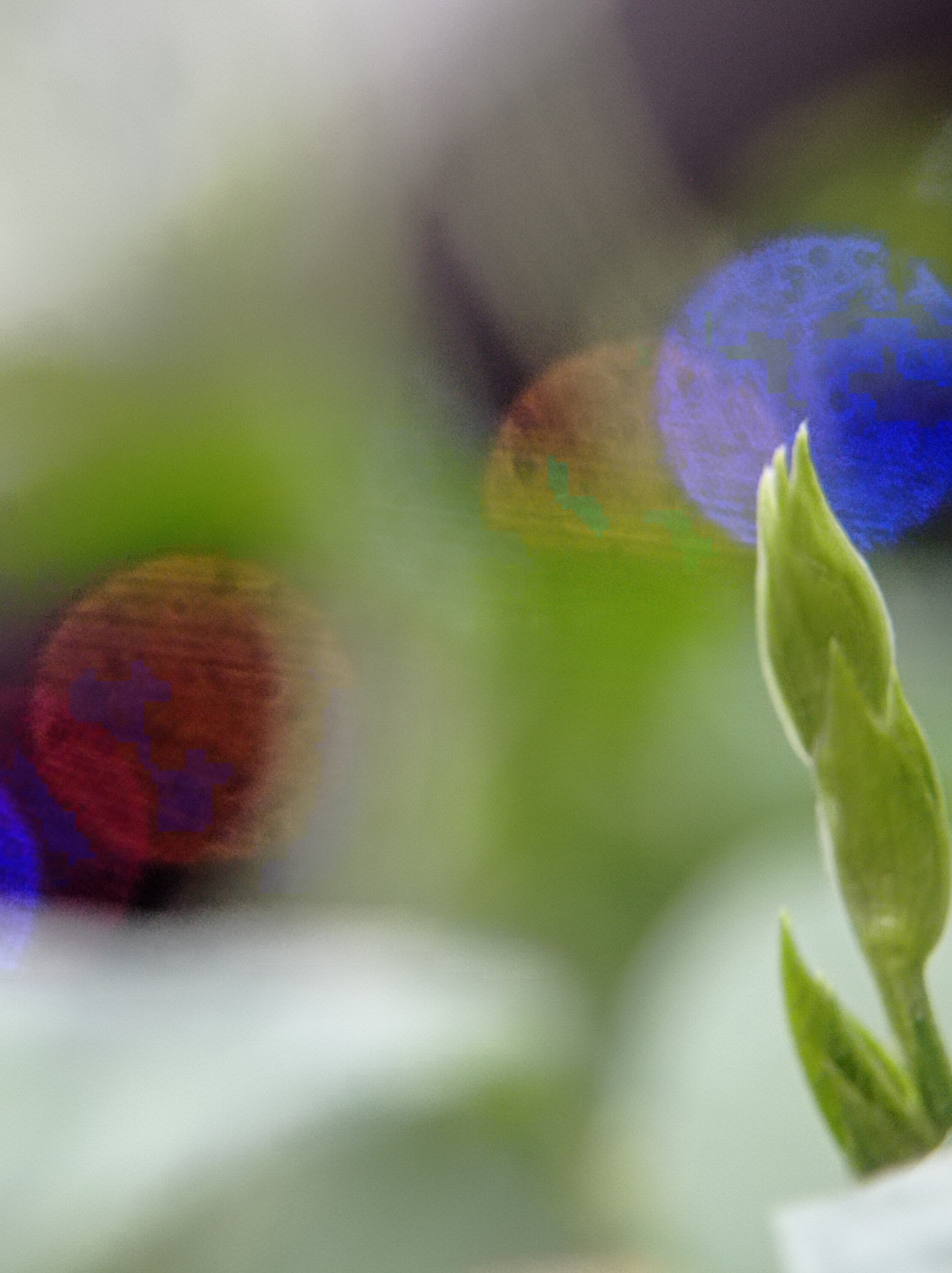 A close-up, soft-focus photograph captures a single, vibrant green bud or young leaf extending upwards from the right side of the frame. The background is a blur of soft greens, with bokeh effects of red, yellow, and blue lights creating an abstract, impressionistic effect. The lighting is diffused, suggesting an indoor or shaded outdoor setting. The specific location in Mulyoagung, Indonesia, cannot be determined from the visual information provided in the image.