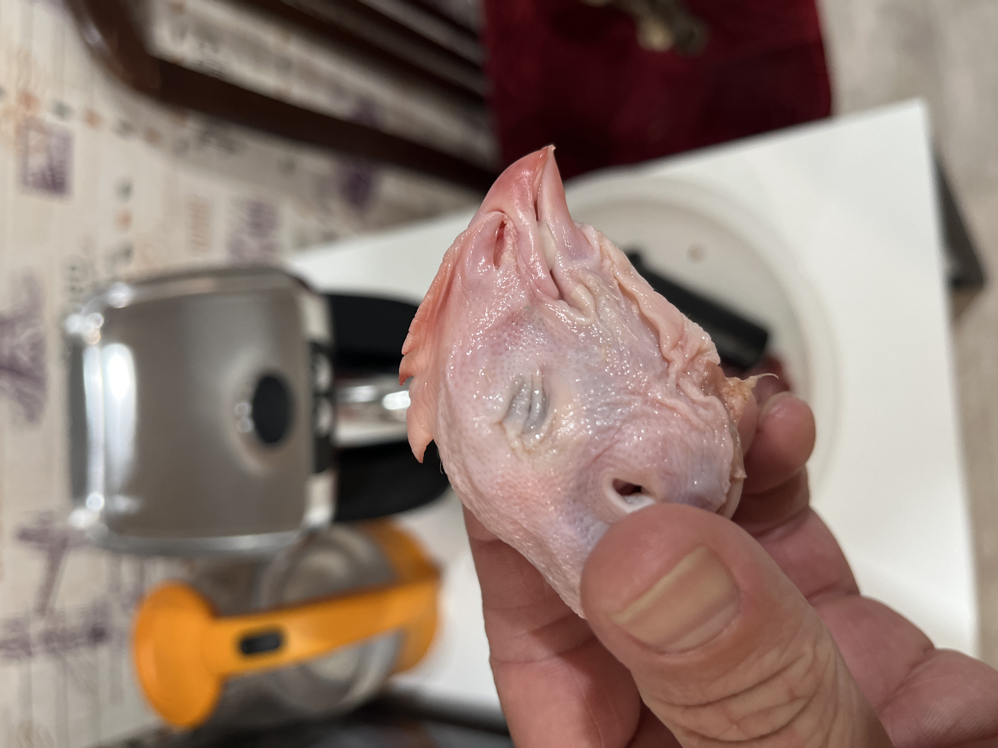A person is holding a raw chicken head in their hand. The chicken head has pinkish-white skin, visible eye sockets, and a beak. The background includes a silver kitchen appliance with a black component and an orange accessory. Part of a white plate and a red object are visible in the background, as well as a table with a patterned surface. The image does not contain sufficient information to confirm the location. Therefore, I cannot verify the presence of this image in Chaikovsky, Russia.