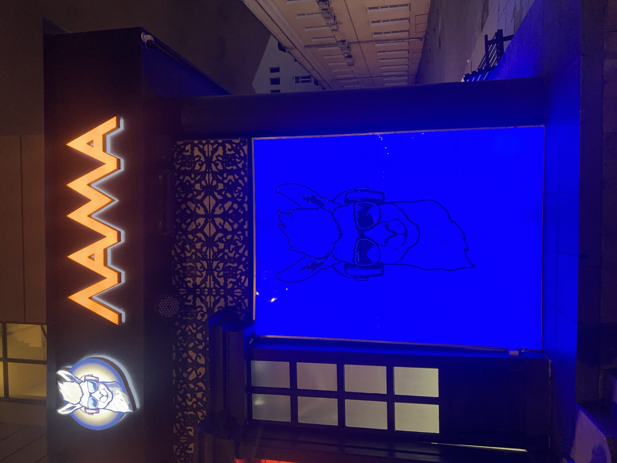 The image captures a nighttime view of a building in Moscow, Russia, distinguished by its illuminated sign. The word "MAMA" is prominently displayed vertically on the left side in vibrant orange. Below the word, there's a circular logo featuring a cartoon alpaca wearing headphones and sunglasses. To the right of these signs, there's an ornamental, patterned structure. A large, blue-lit display showcases a stylized drawing of an animal wearing goggles. The storefront also has a window with a grid-like pattern, partly obscured by the darkness. Above, there's a glimpse of the surrounding cityscape at night.