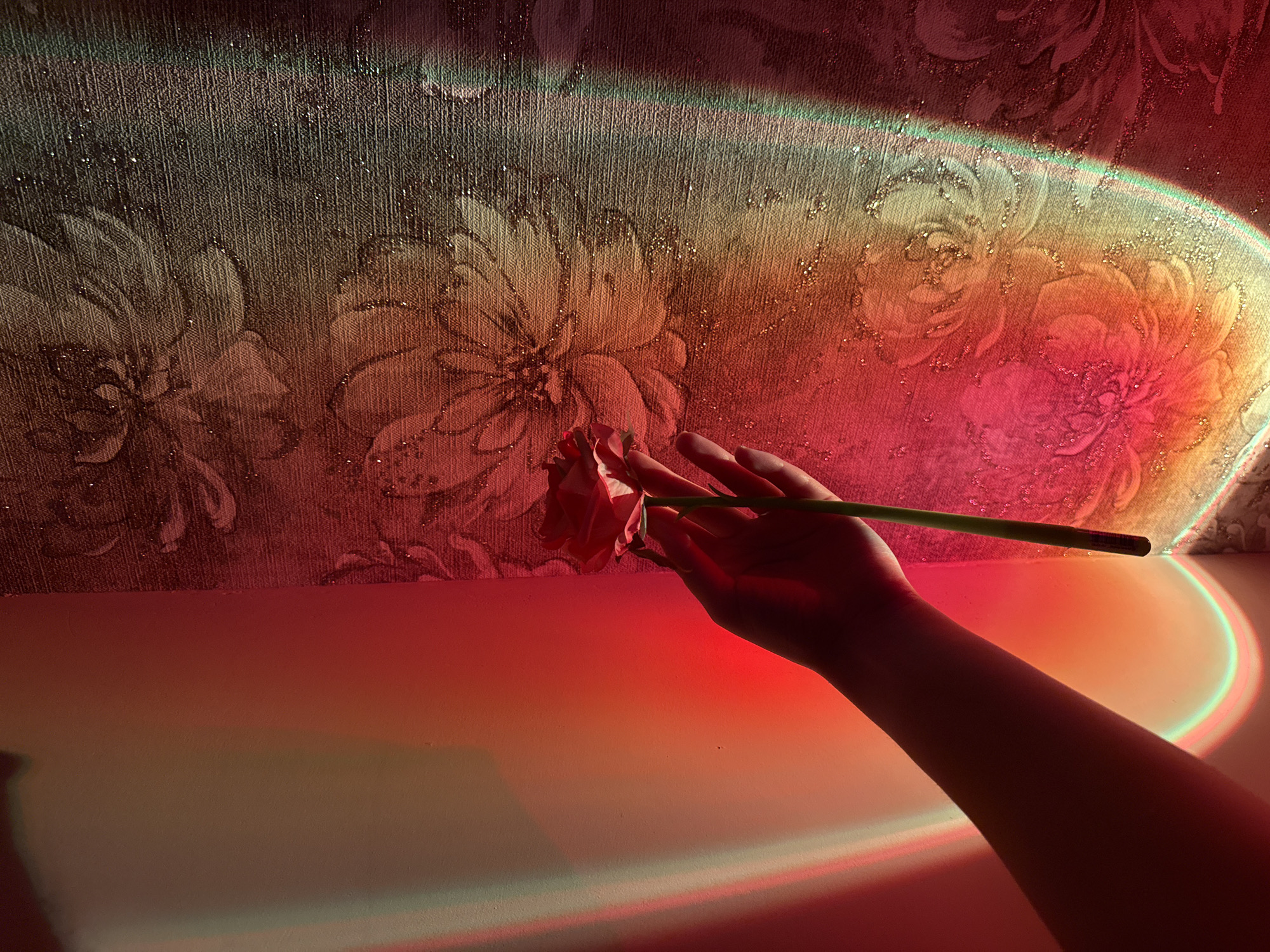 An arm, emerging from the left side of the frame, holds a single red rose by its stem. The rose is positioned in the center-right of the image, and its petals are slightly unfurled. The arm and rose are illuminated by warm, colored light that casts vibrant red and yellow hues onto a patterned wallpaper on the right side of the frame. The wallpaper features a floral design in muted tones, with subtle glittery accents catching the light. The left side of the image is dominated by a smooth, softly lit surface, possibly a wall, displaying gradient colors from soft yellow to deep red. The overall impression is one of artistic lighting and a focus on the delicate beauty of the rose.