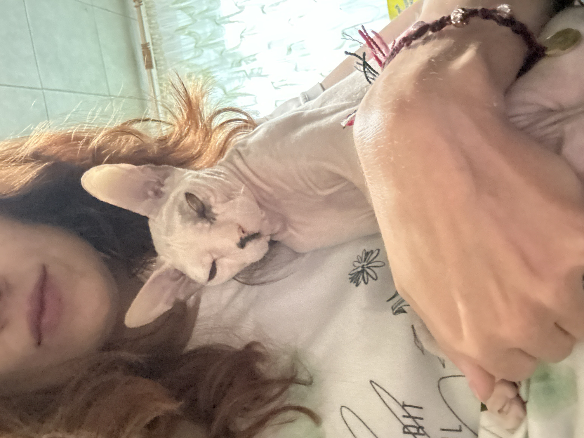 A person with auburn hair is holding a light-skinned Sphynx cat. The cat is nestled in the person's arms, with its eyes mostly closed. The person is wearing a white t-shirt with black line drawings on it. A beaded bracelet is visible on the person's wrist. The background appears to be an indoor setting with a light-colored wall and window coverings. The image is captured from a close-up perspective, focusing on the person and the cat. There is no identifiable information suggesting a specific location within Togliatti, Russia.