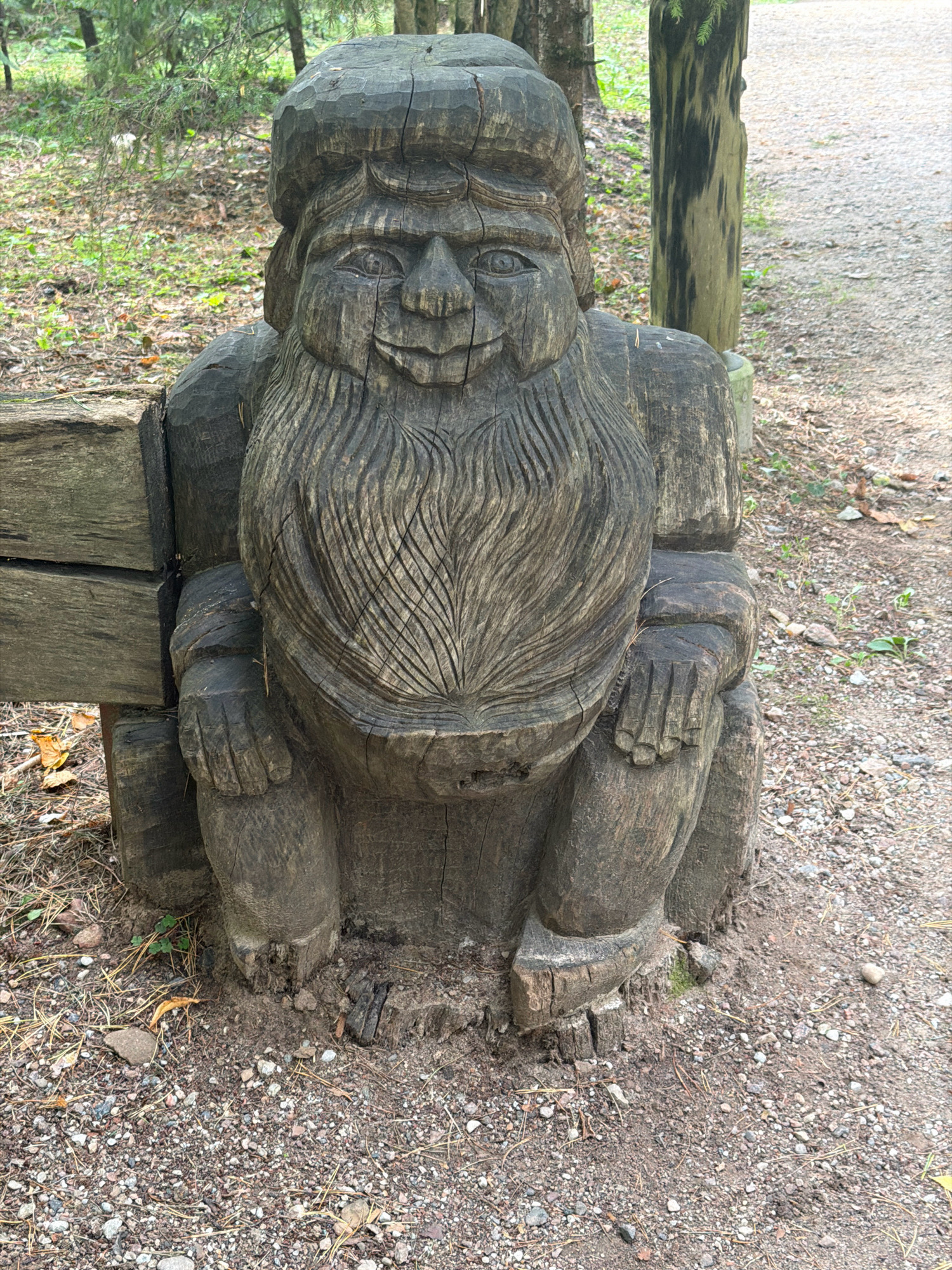 A weathered, wooden sculpture of a gnome or hobbit-like figure is positioned outdoors, squatting next to a wooden bench. The figure is carved from a dark, aged log, with visible cracks and a rough texture. It has a large head with a rounded cap, a broad face with carved eyes, nose, and a smiling mouth, and a long, textured beard. Its body is stout, with short arms resting on its knees and thick legs. The sculpture appears to be a permanent fixture, possibly part of an outdoor attraction or park.
The surrounding environment consists of a path covered in gravel and pine needles, with dry leaves and small green plants scattered around. In the background, there are trees with green foliage, suggesting a forested or park-like setting. The overall impression is one of a whimsical outdoor sculpture in a natural, wooded area, likely within the Tērvete Nature Park in Tērvete, Latvia, known for its fairy tale-themed attractions and wooden sculptures.
